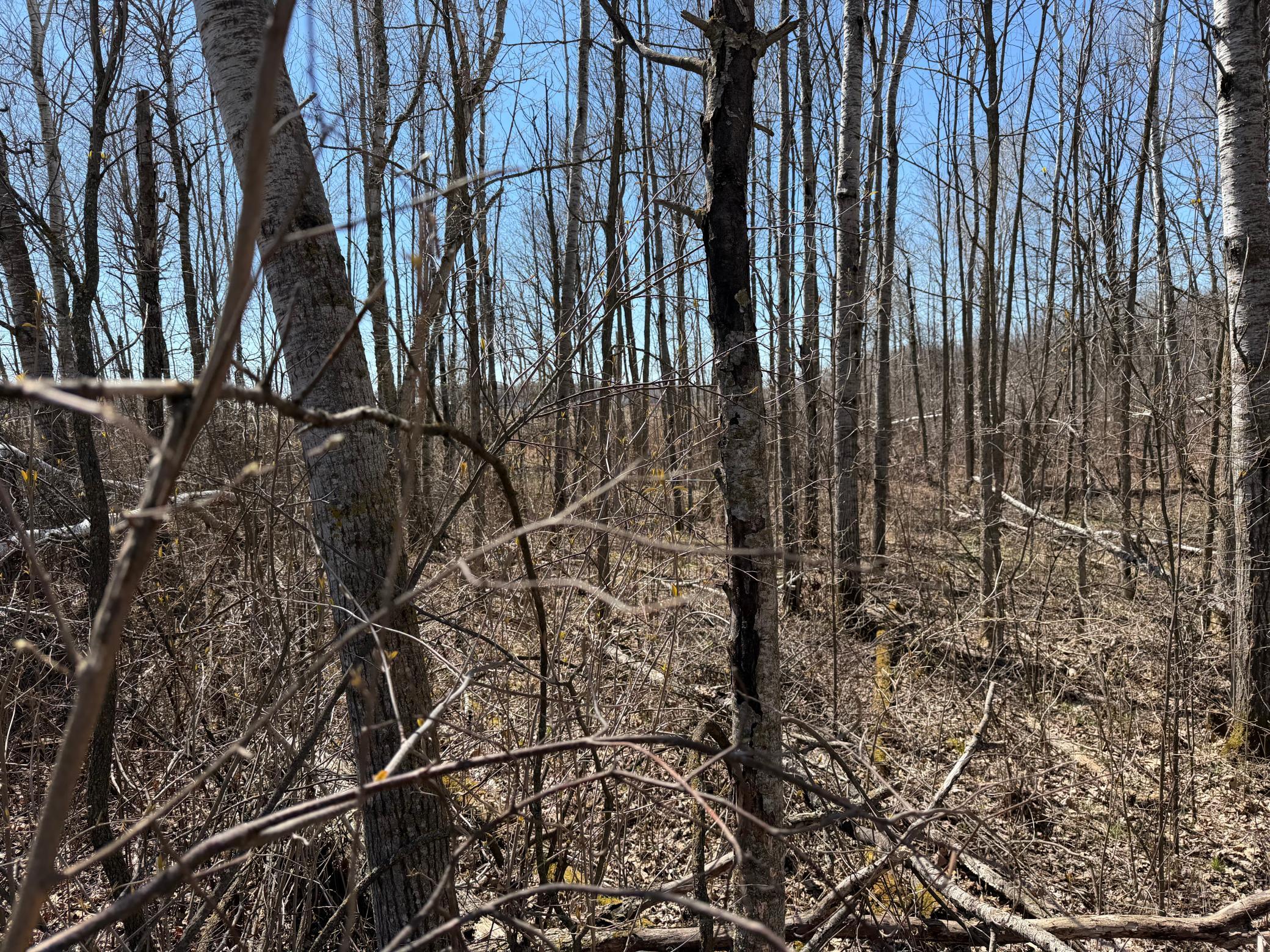 main property photo 53
