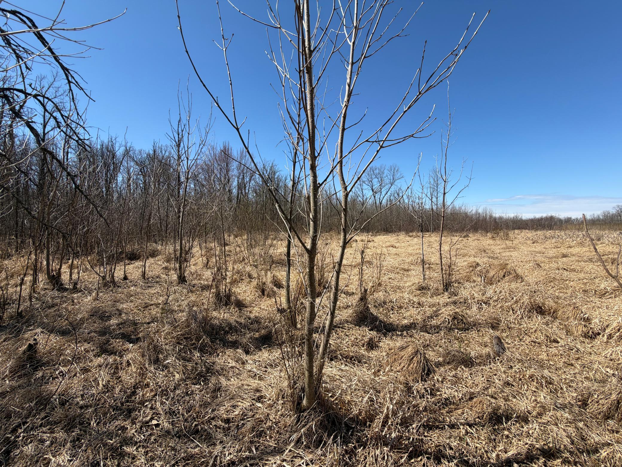 main property photo 55