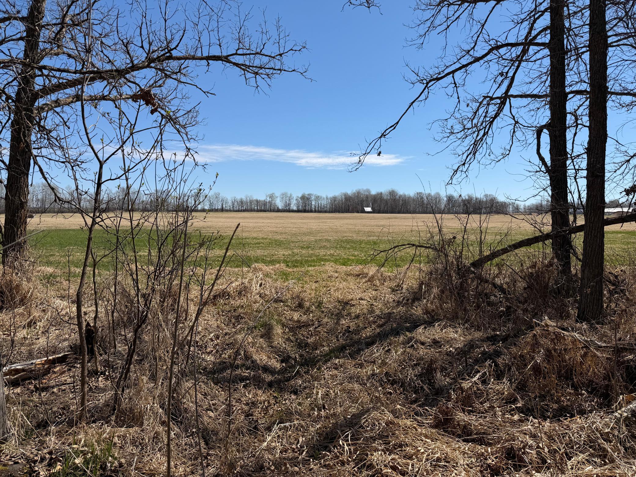 main property photo 61