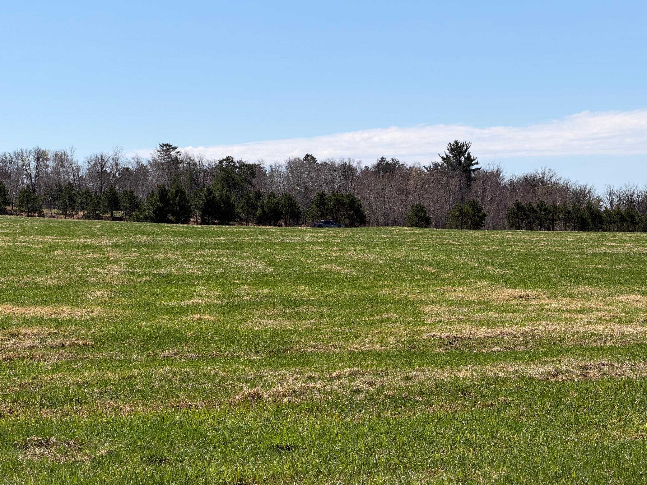 main property photo 62