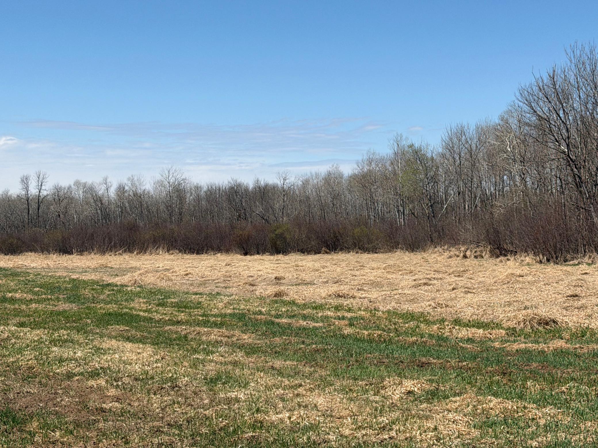 main property photo 63