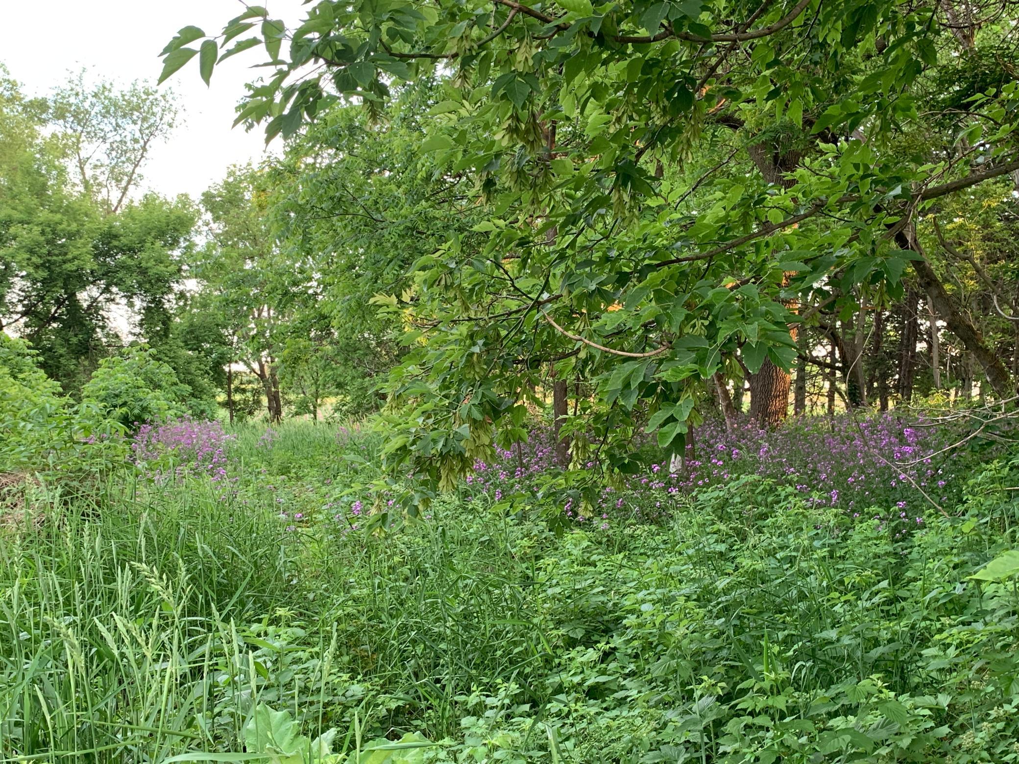 main property photo 13