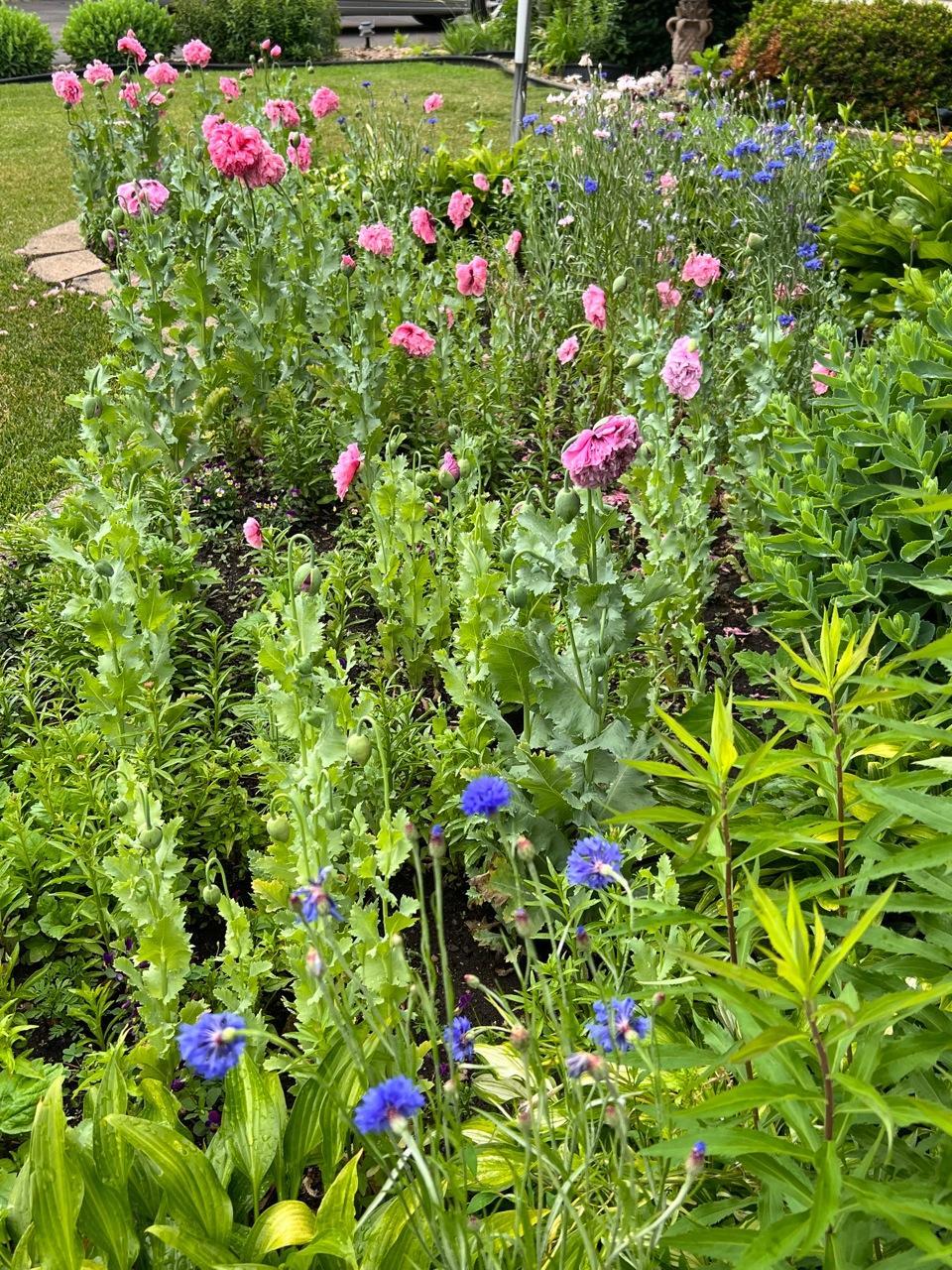 main property photo 46