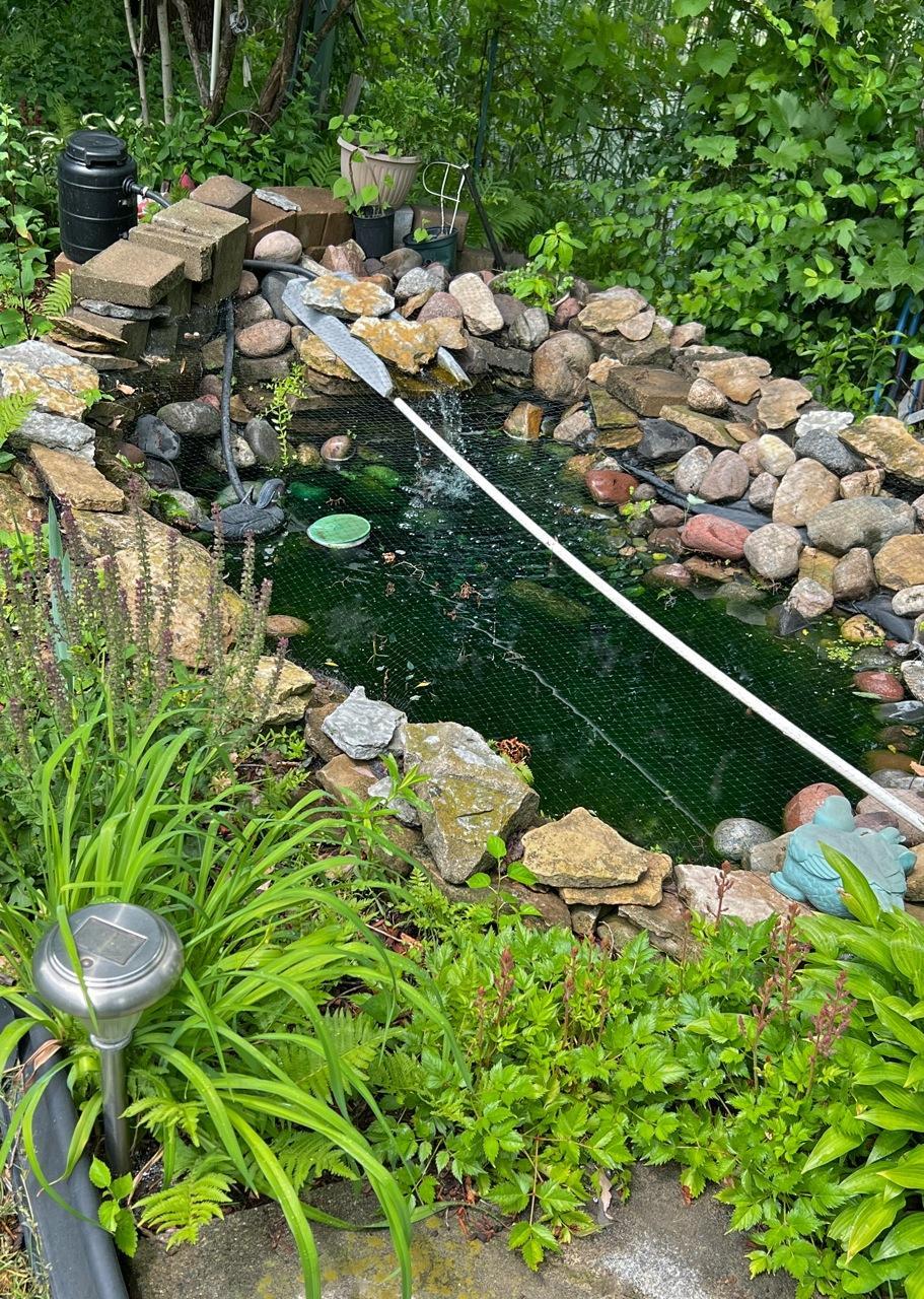 main property photo 48