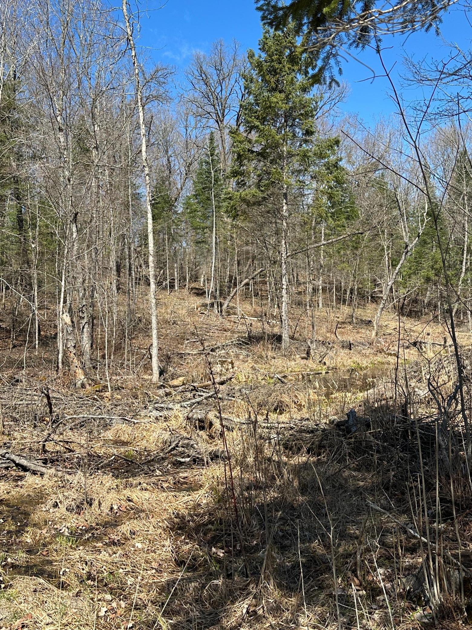 main property photo 10