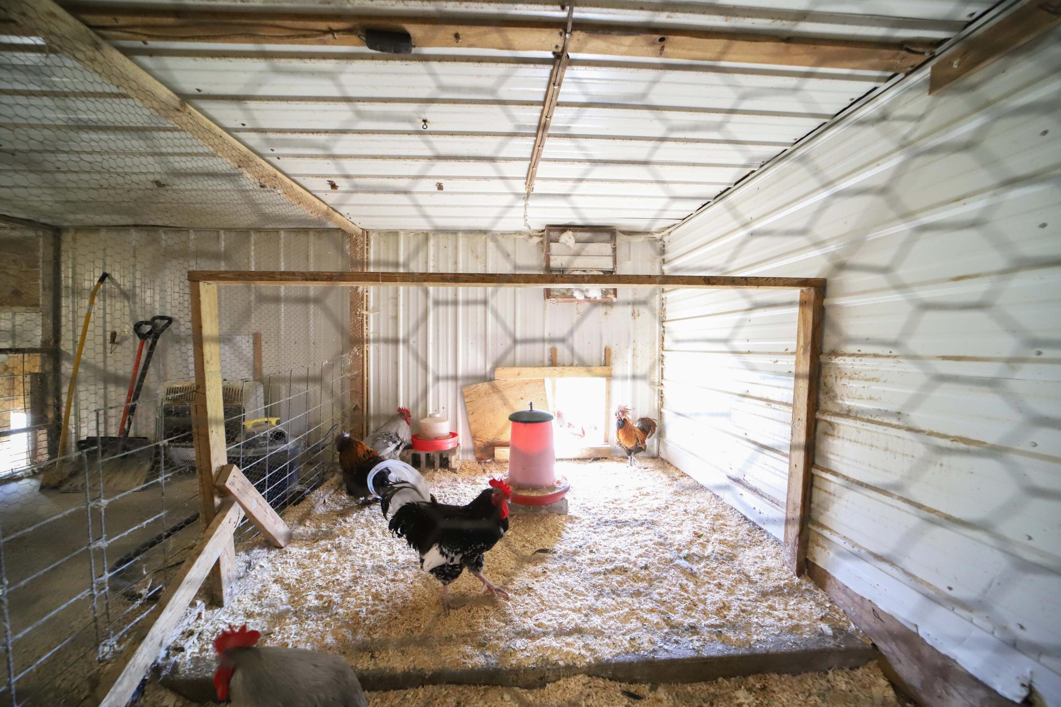 main property photo 36
