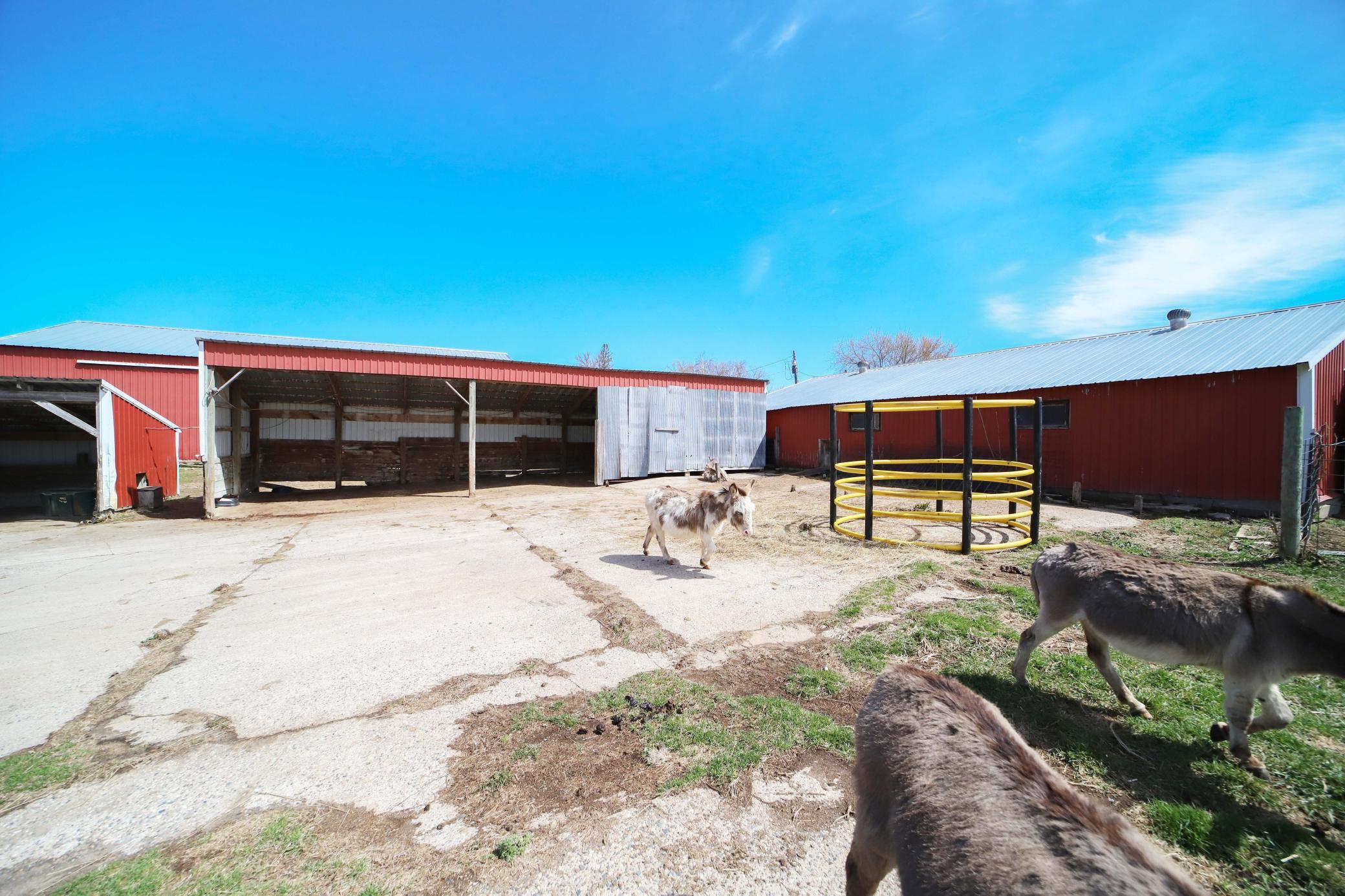 main property photo 43