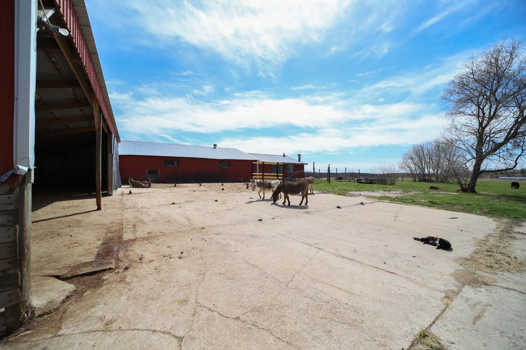 main property photo 45