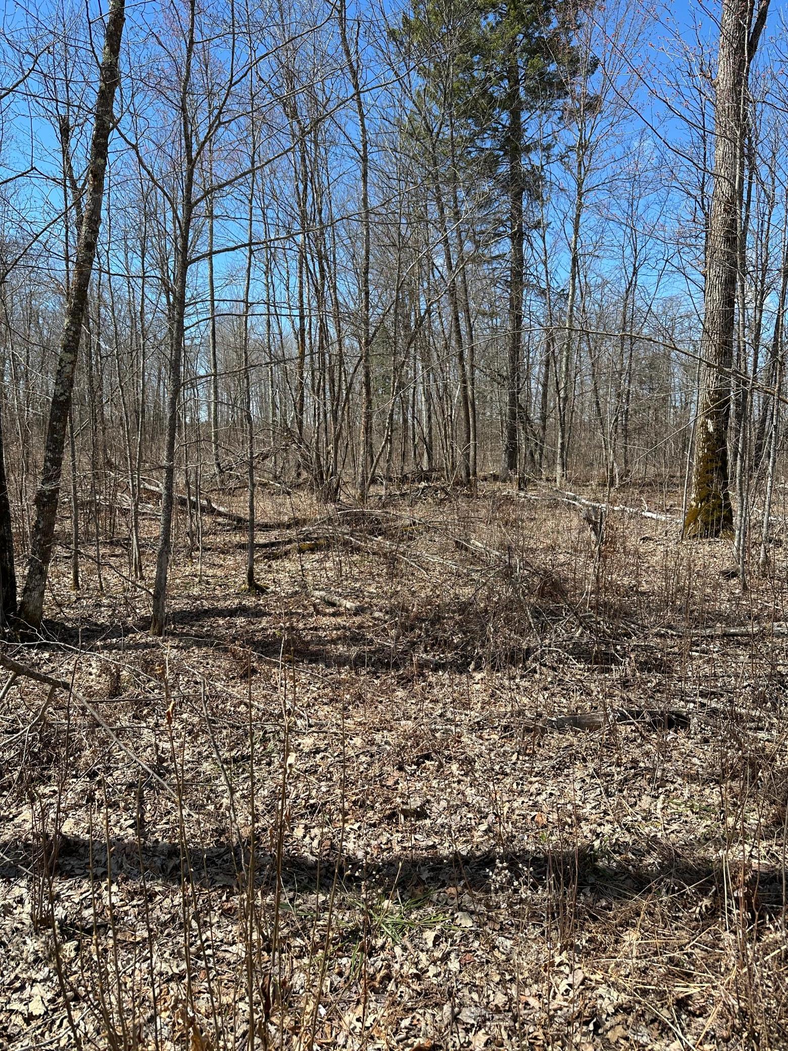 main property photo 12