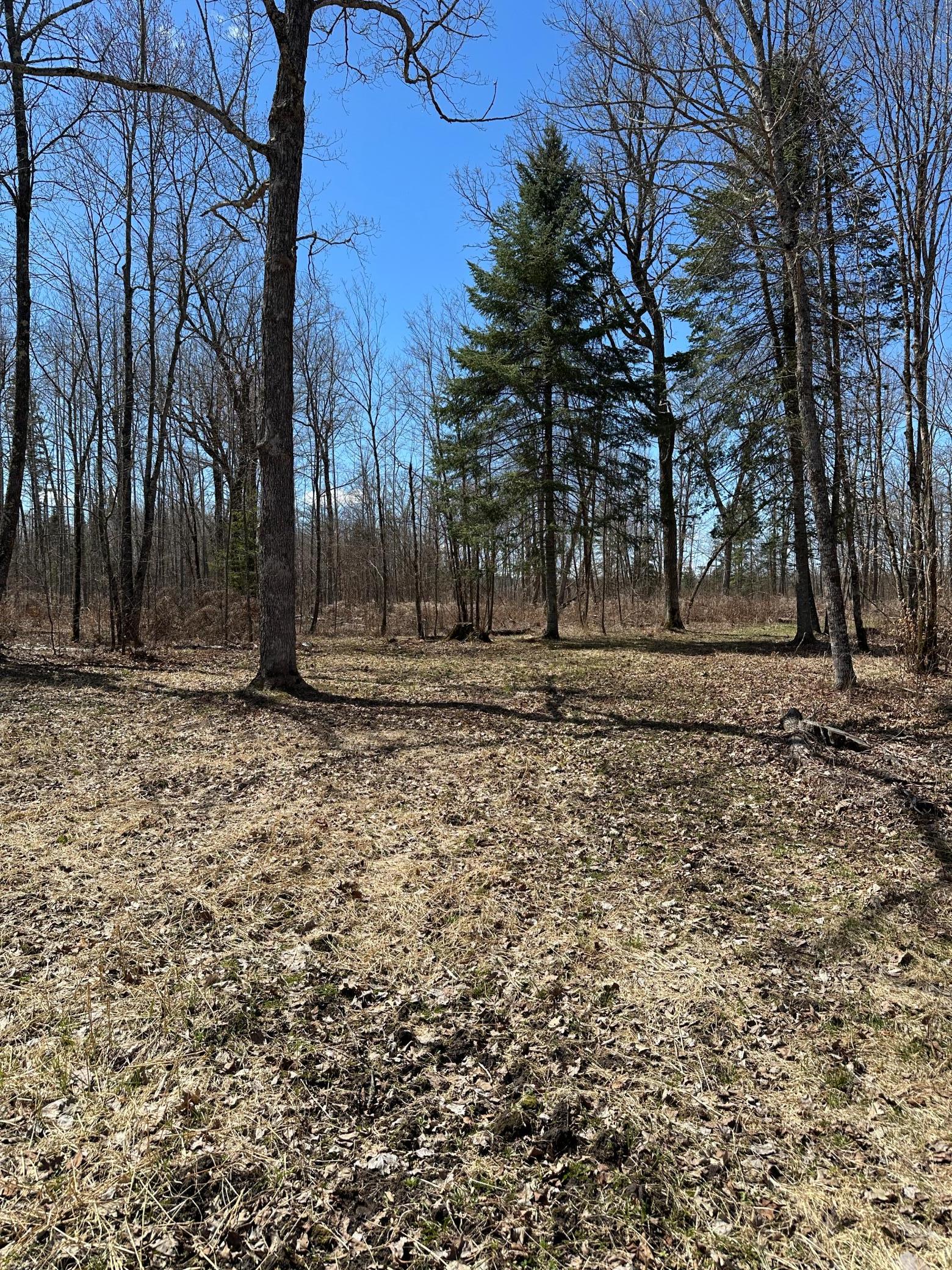 main property photo 13