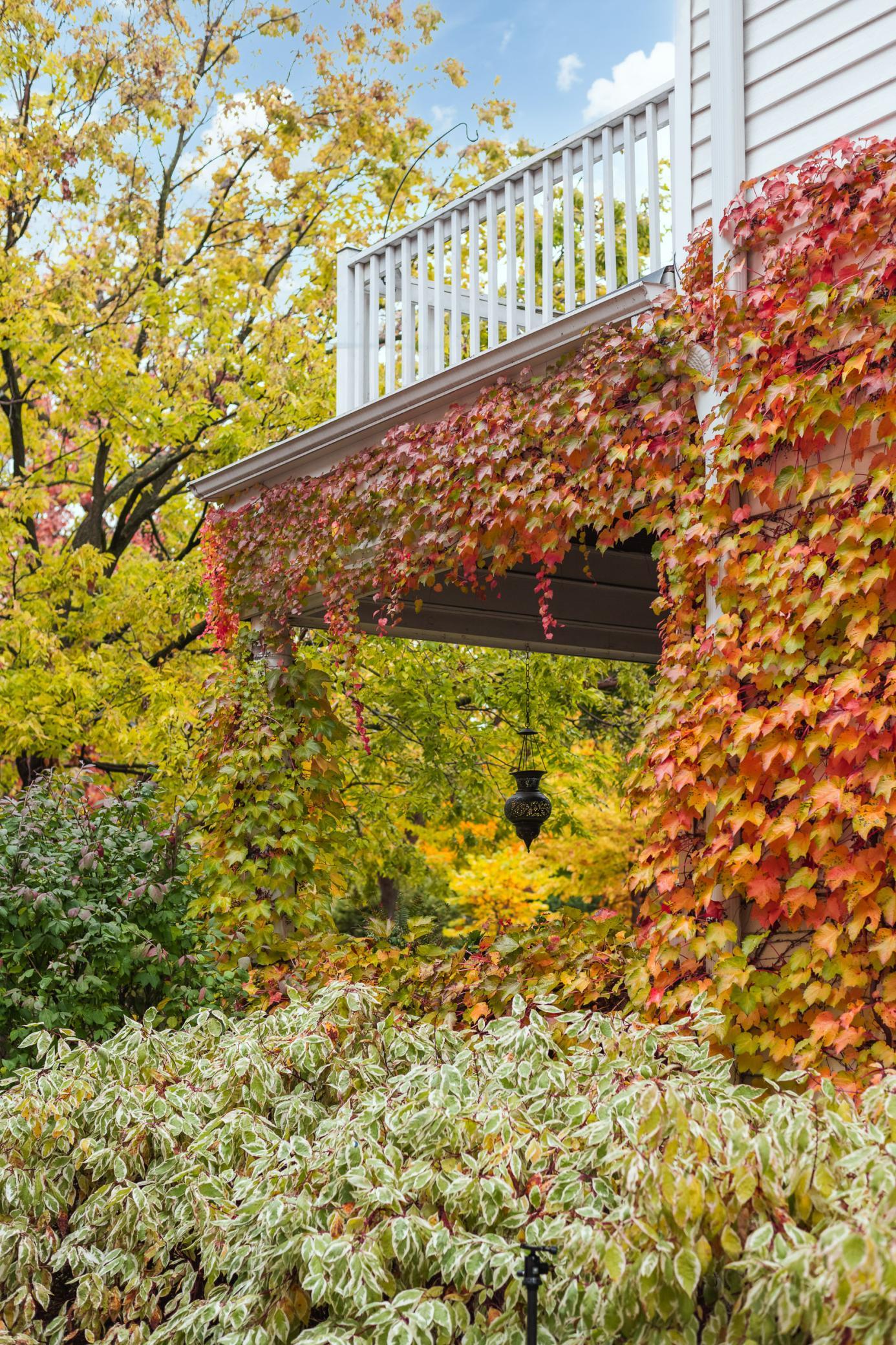 main property photo 74
