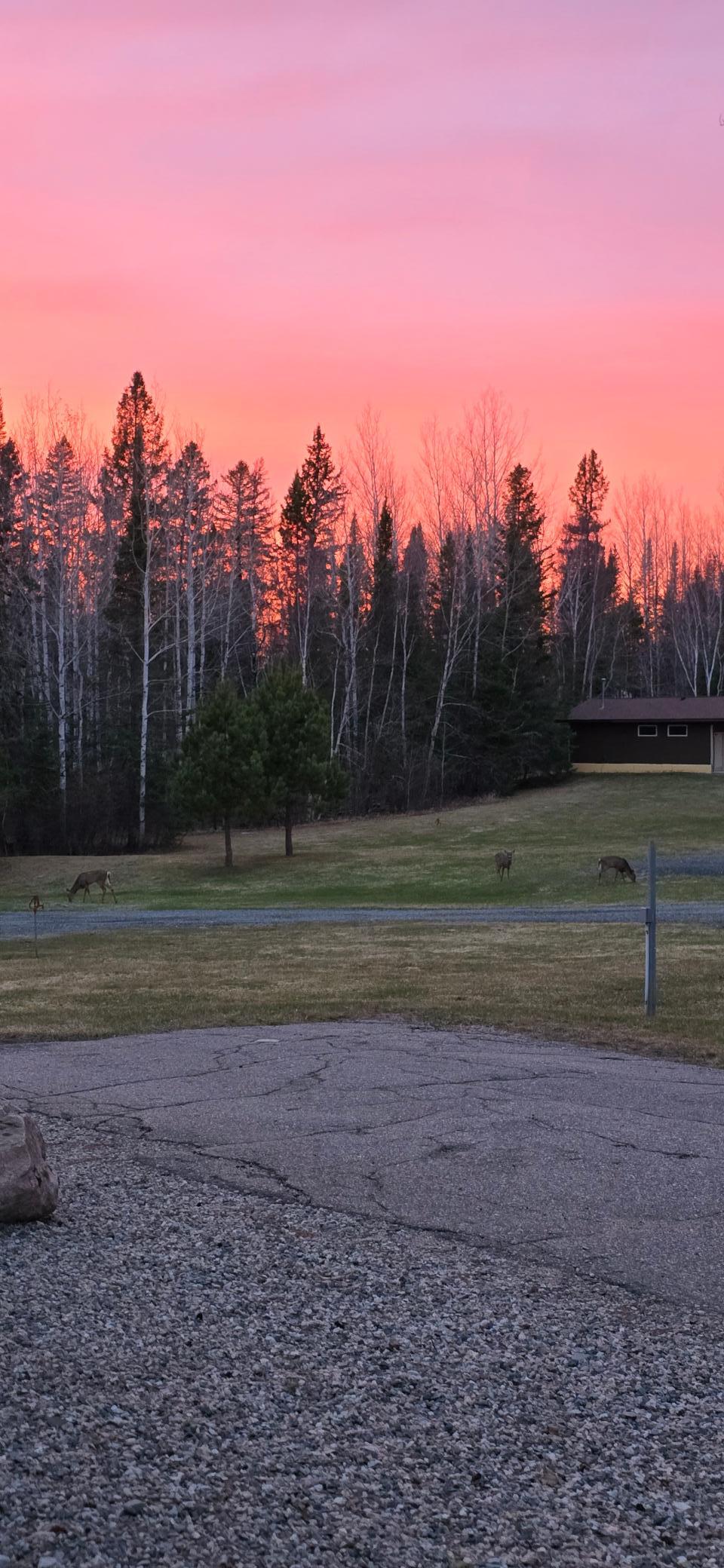 main property photo 31