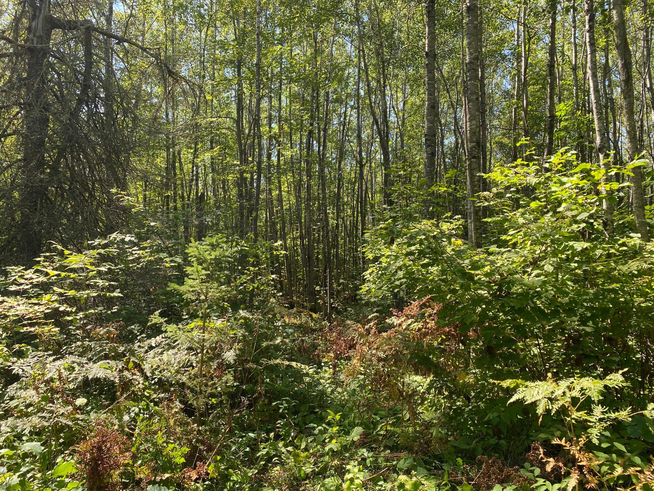 main property photo 19