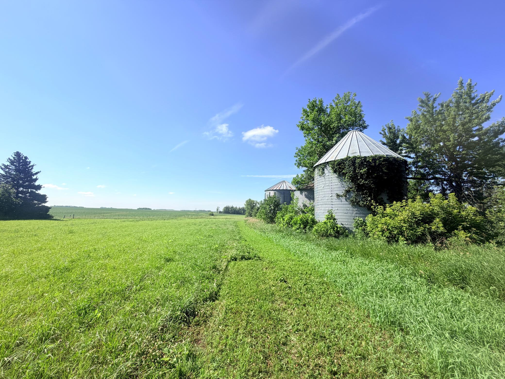 main property photo 41