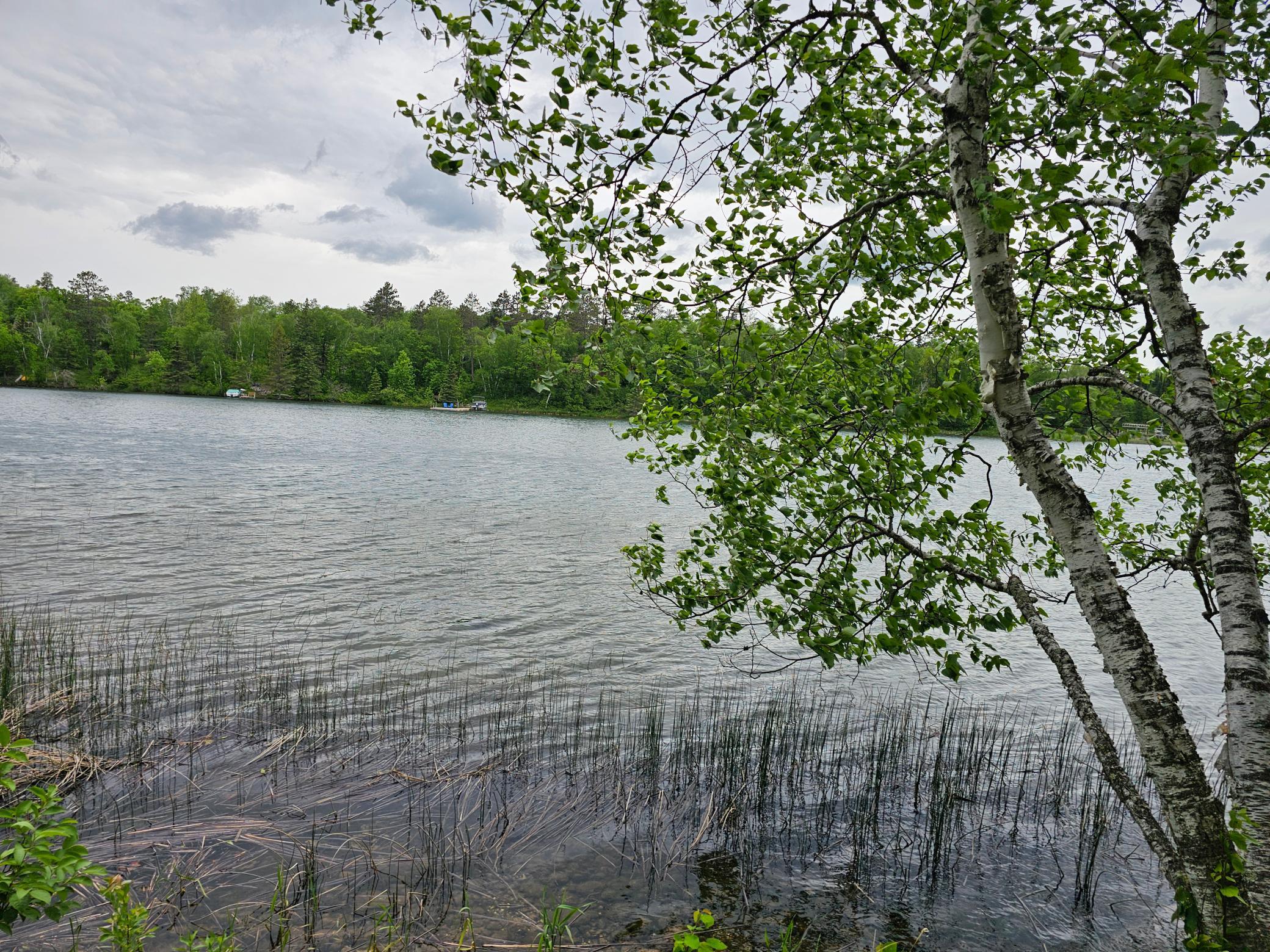 main property photo 54