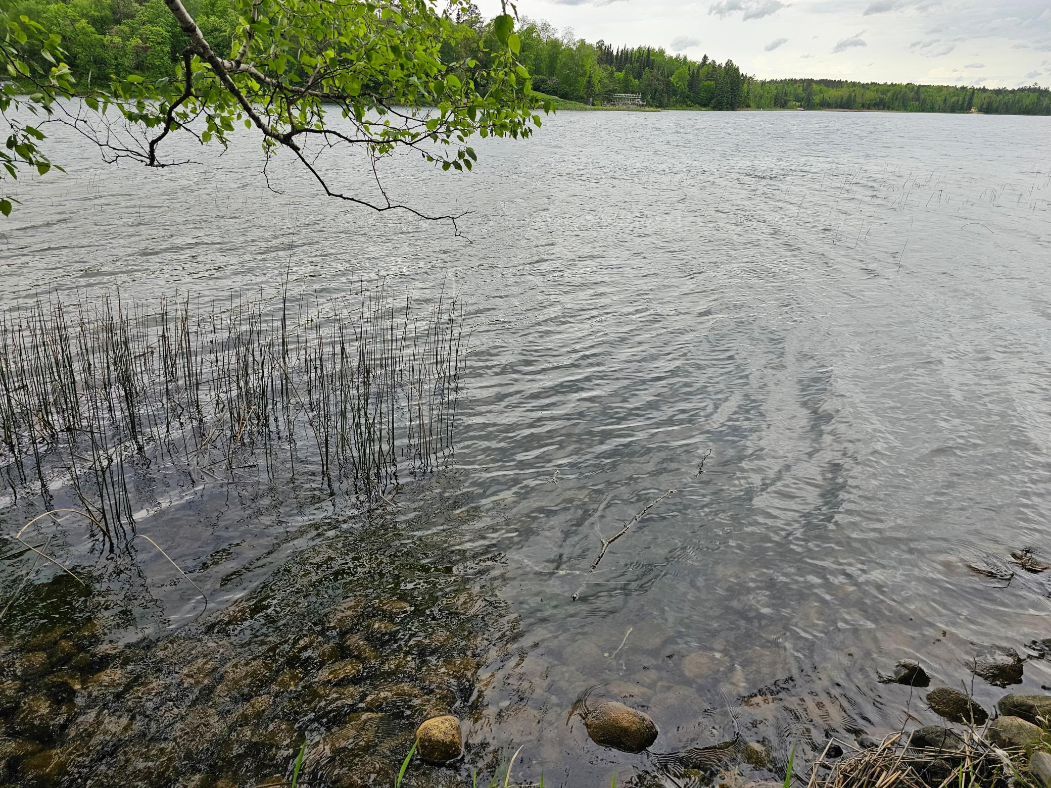 main property photo 57