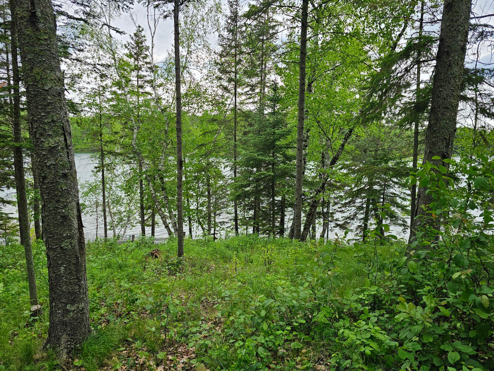 main property photo 58