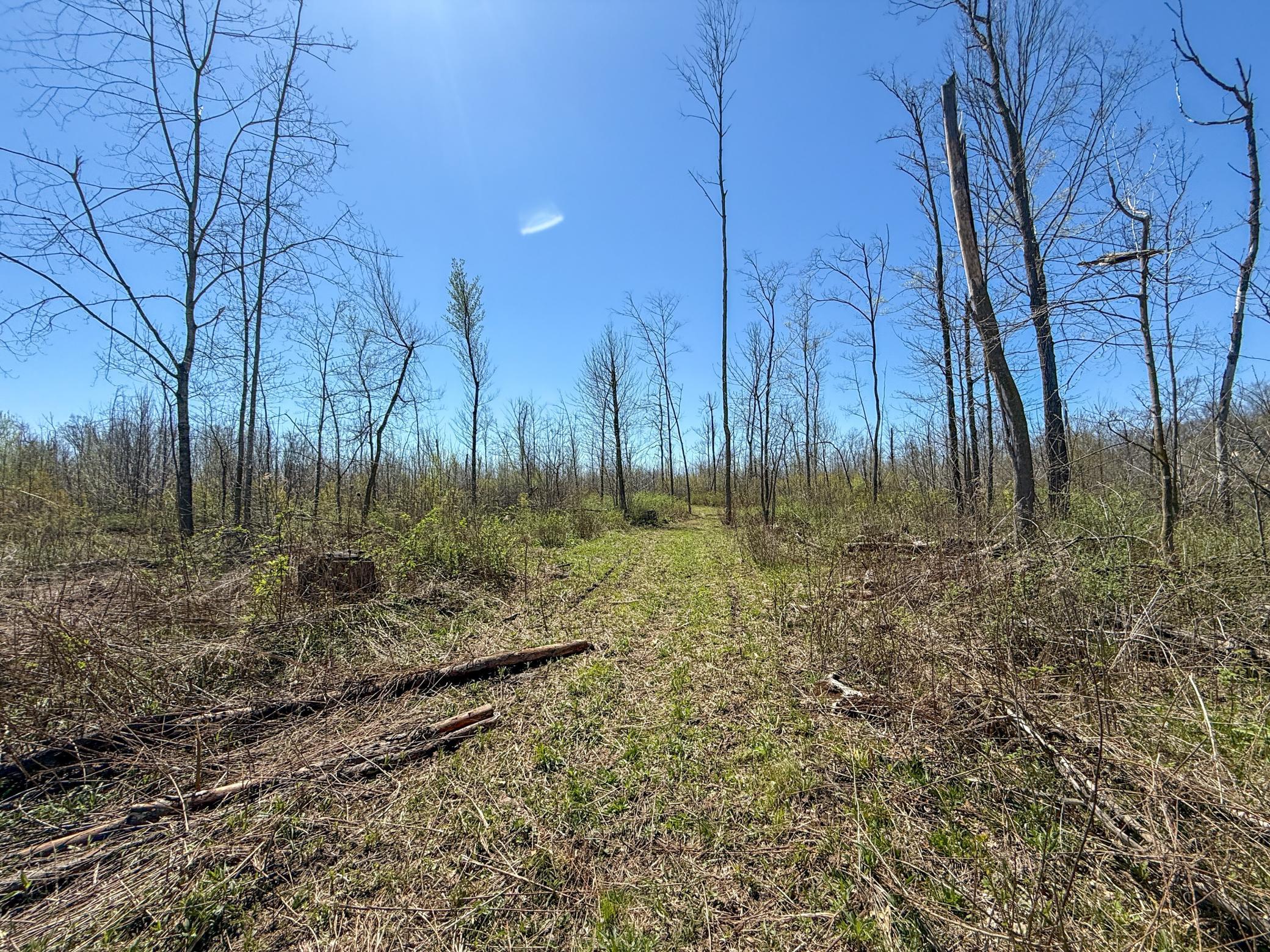 main property photo 21