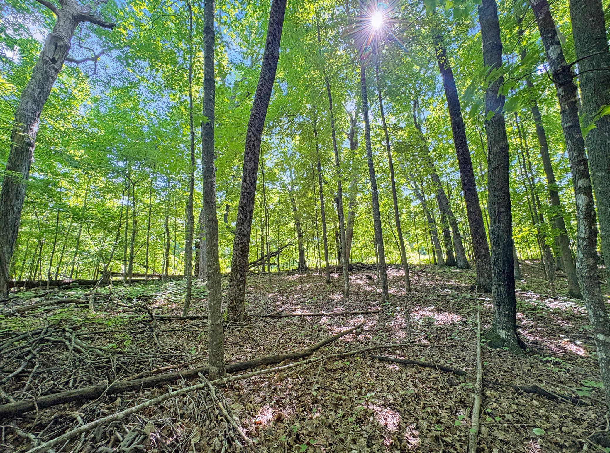main property photo 10