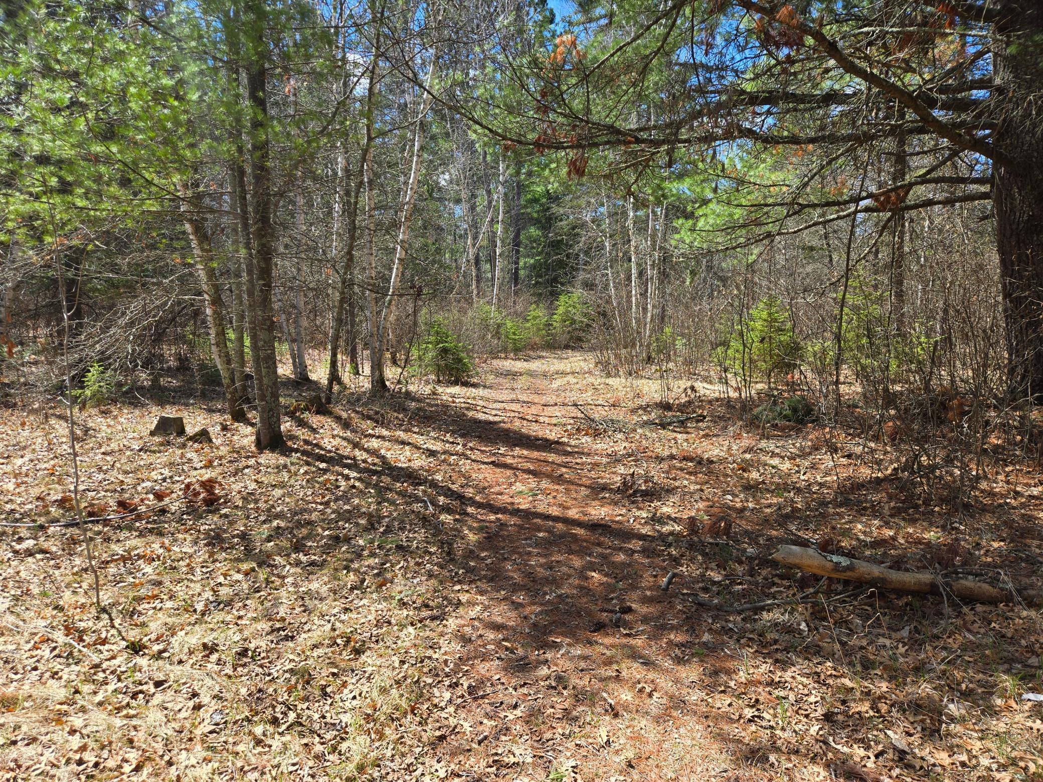 main property photo 48