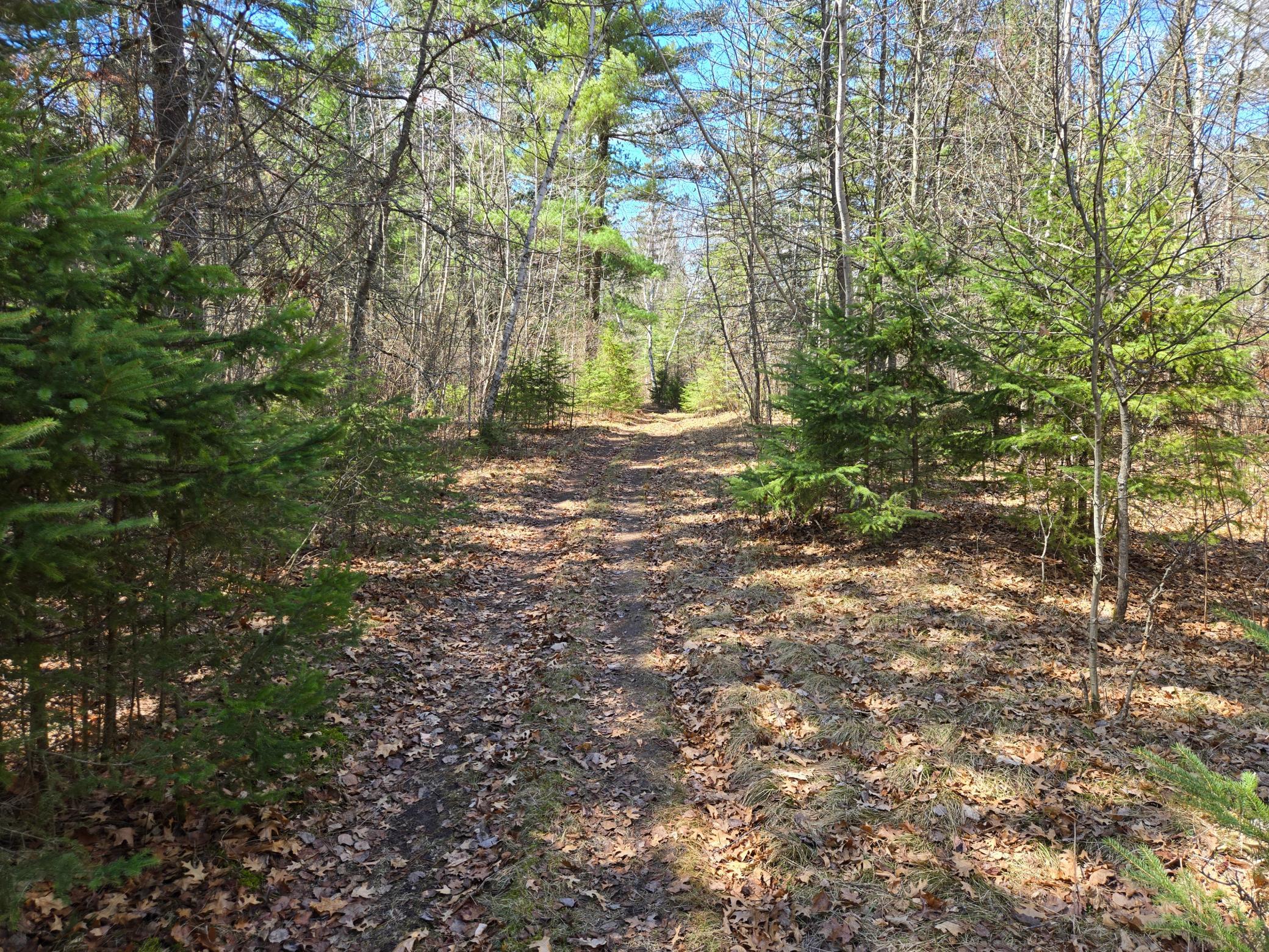 main property photo 49