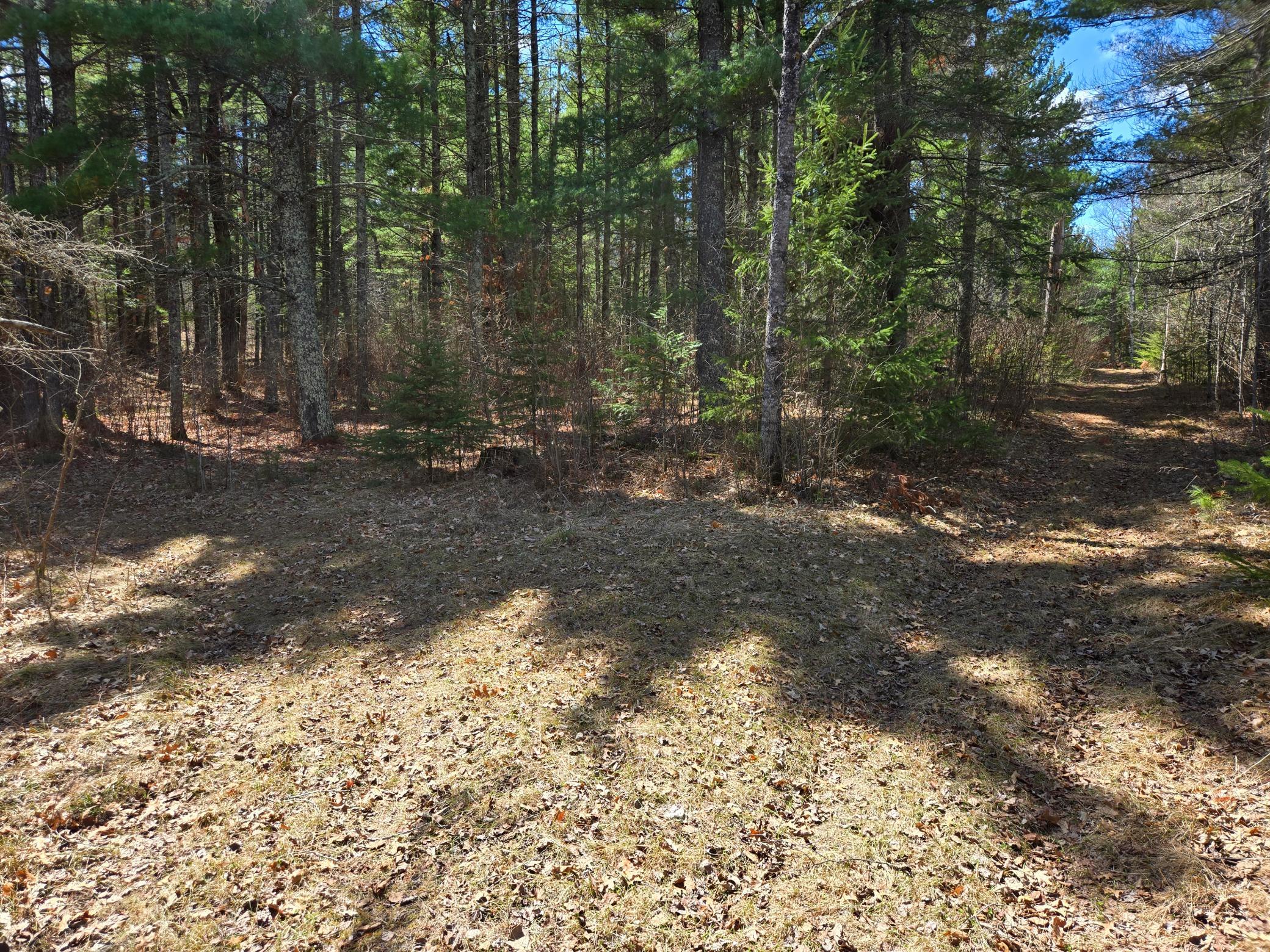main property photo 51