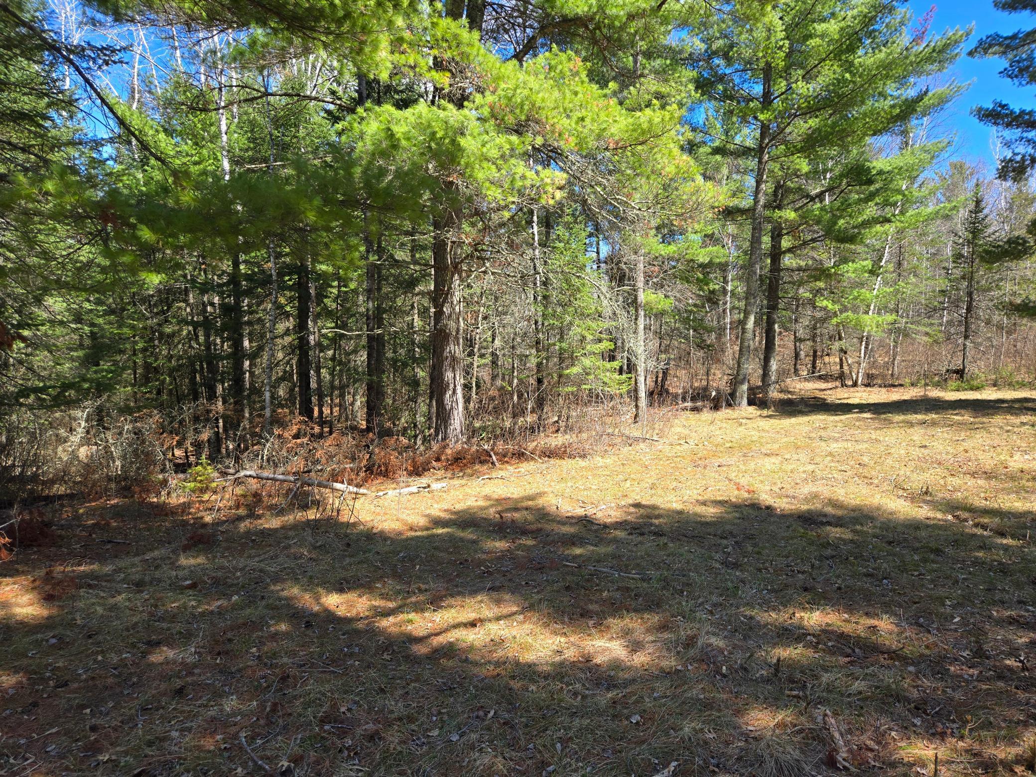 main property photo 52