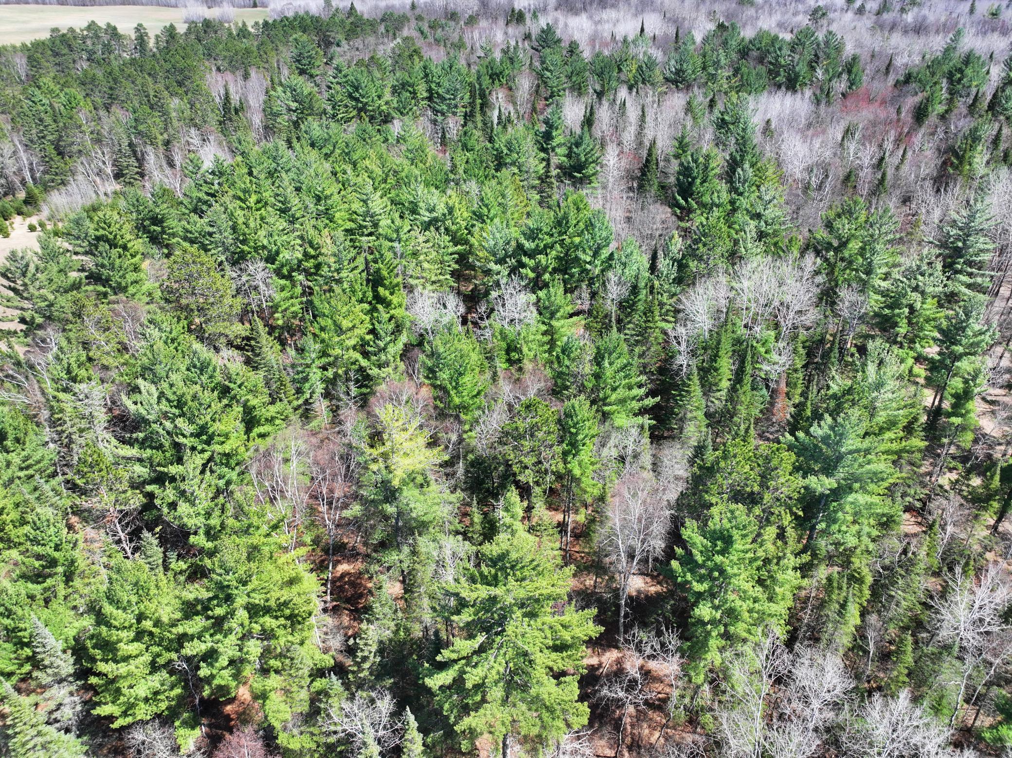main property photo 60