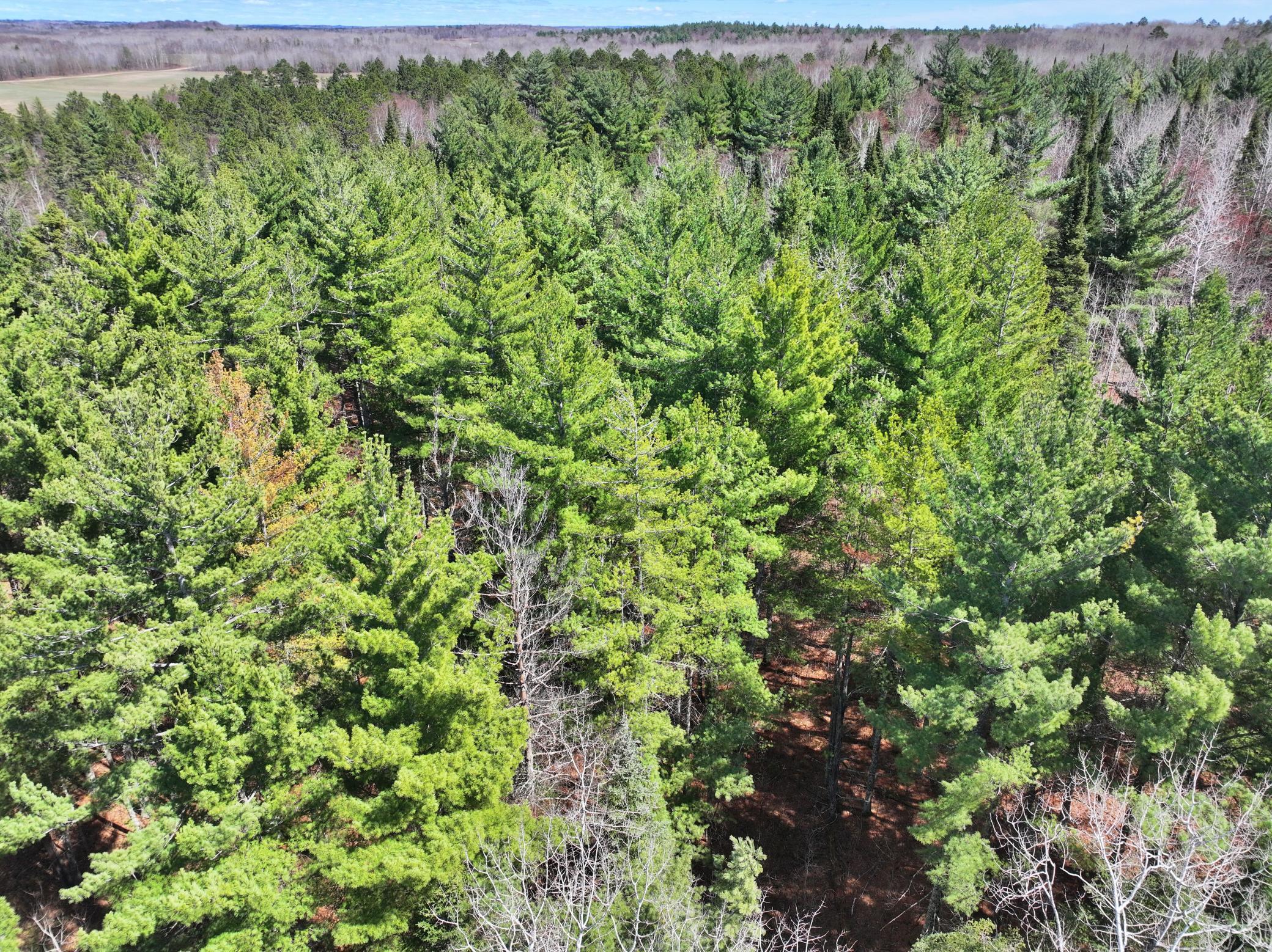 main property photo 61