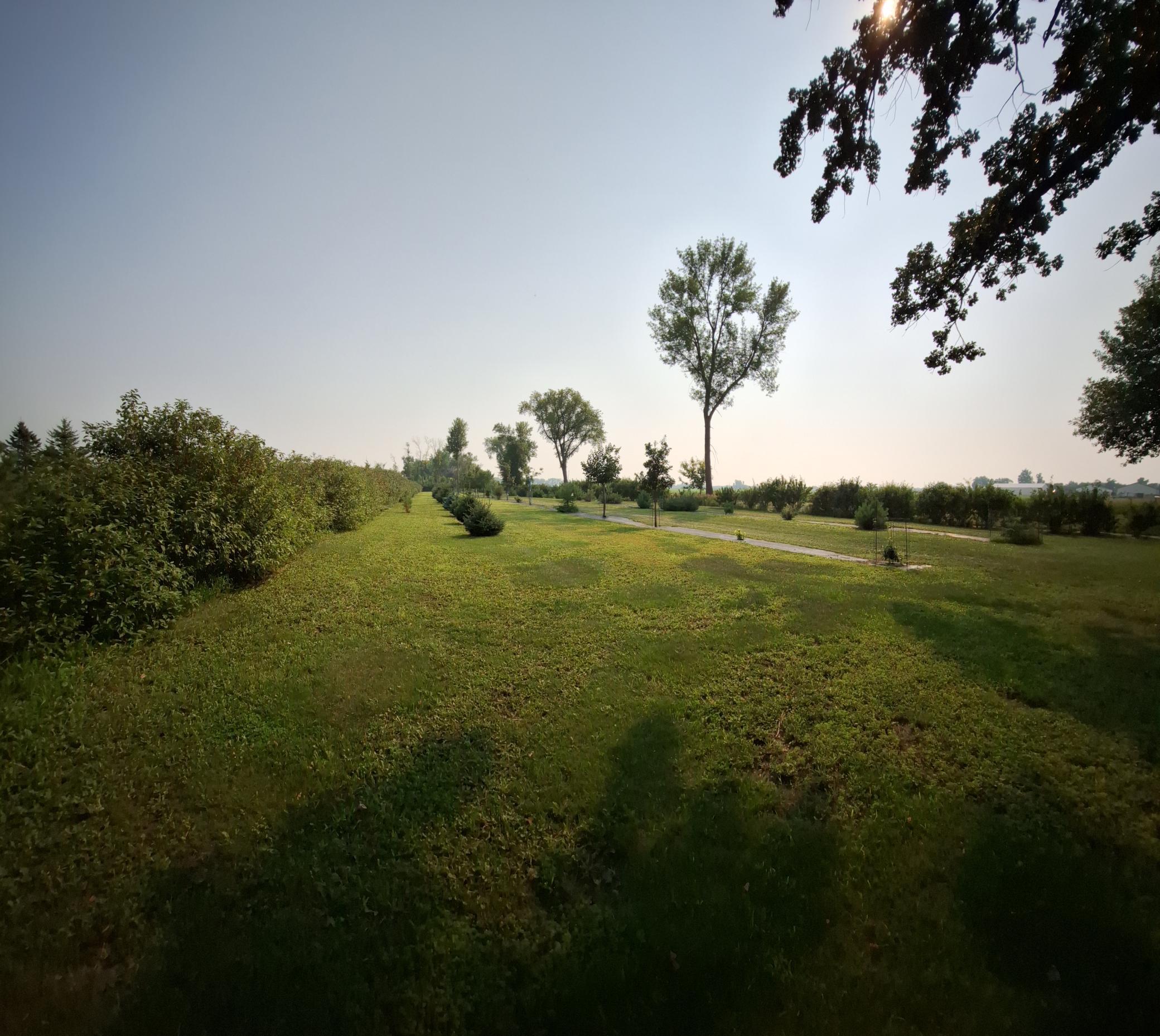 main property photo 11