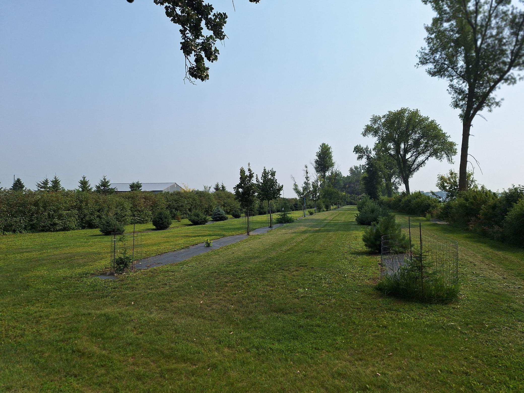 main property photo 13