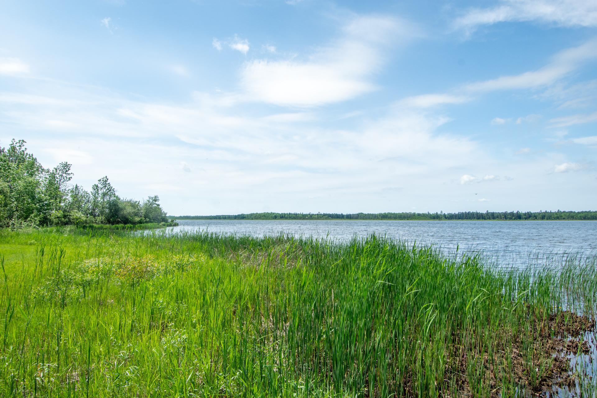 main property photo 72