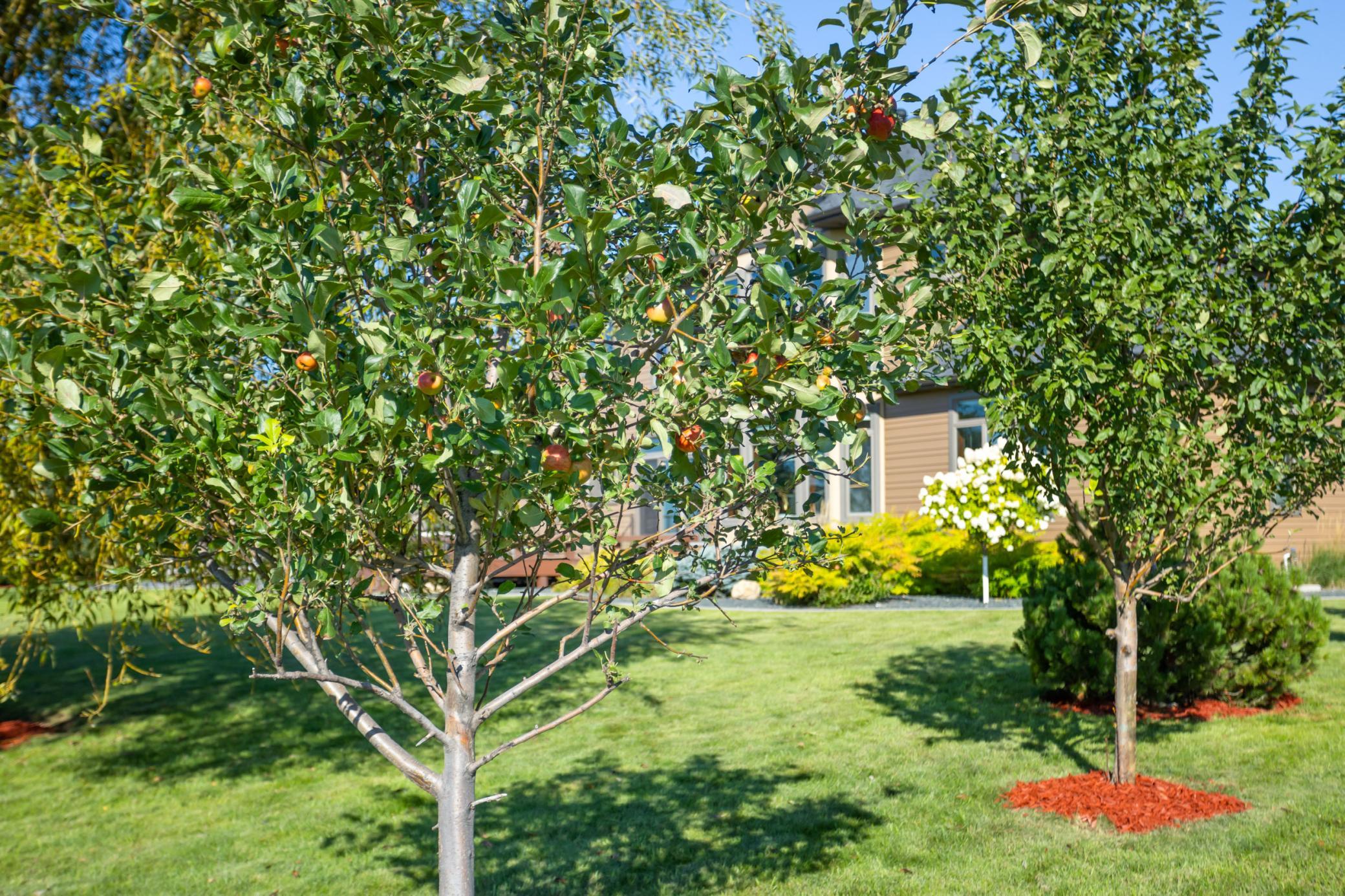 main property photo 75