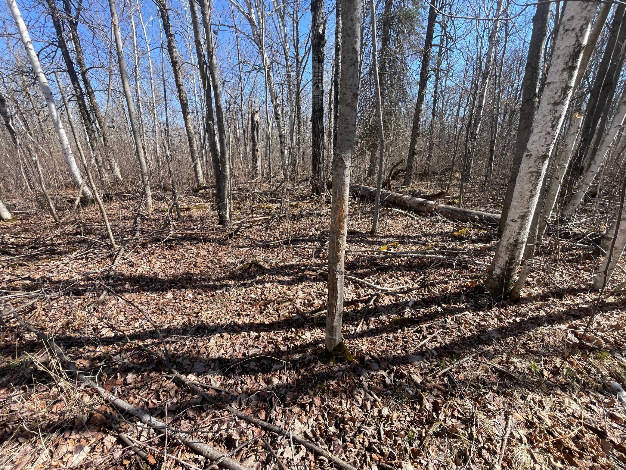 main property photo 40