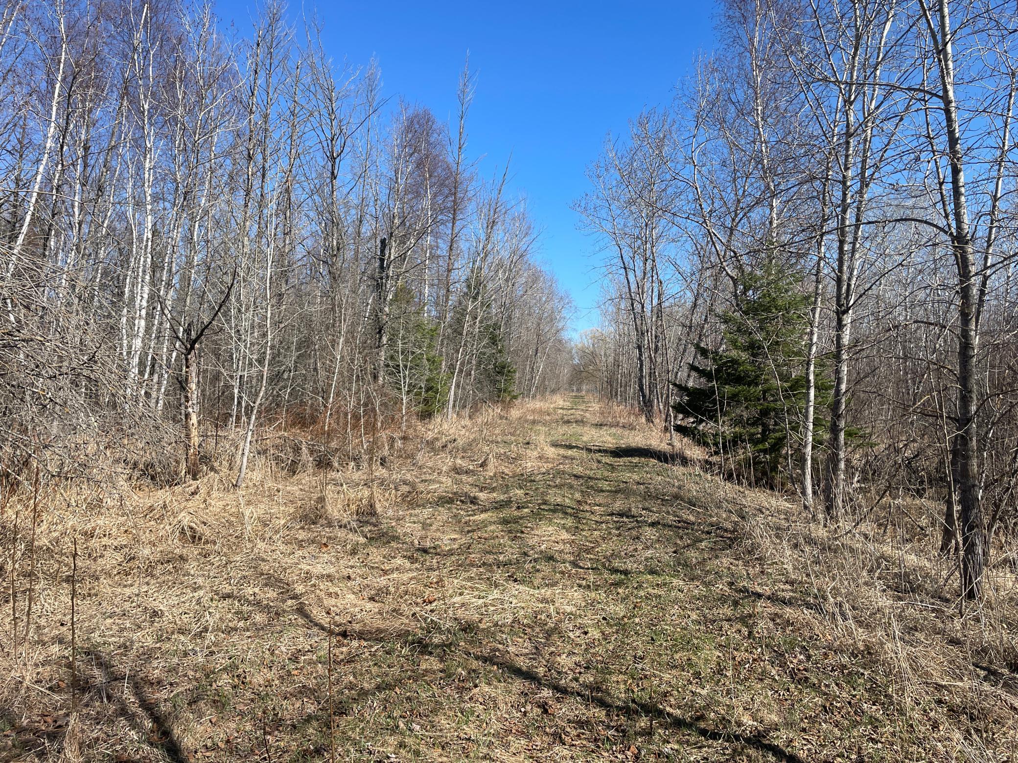 main property photo 45