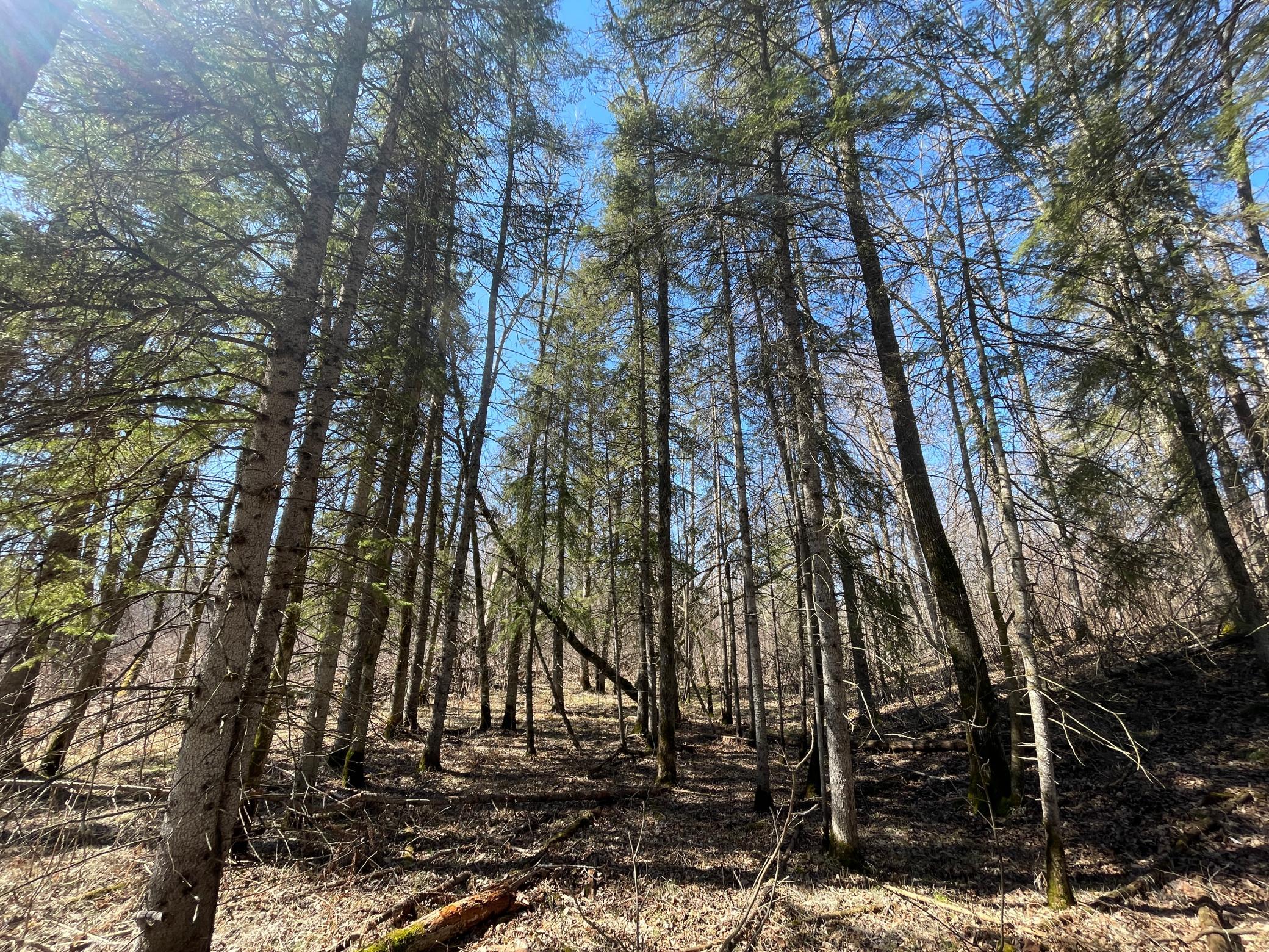 main property photo 51