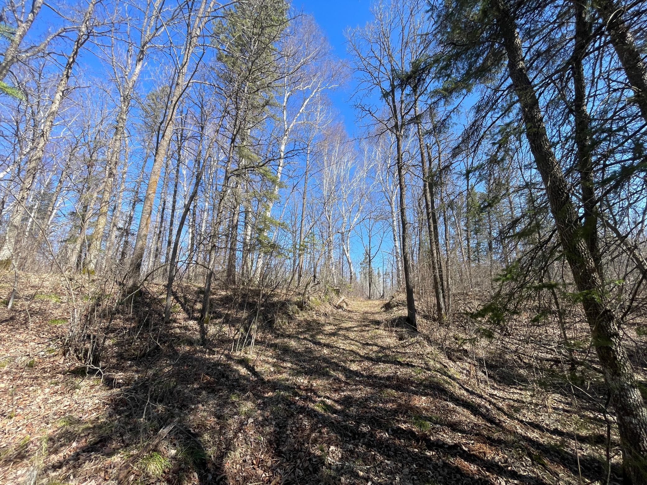 main property photo 53