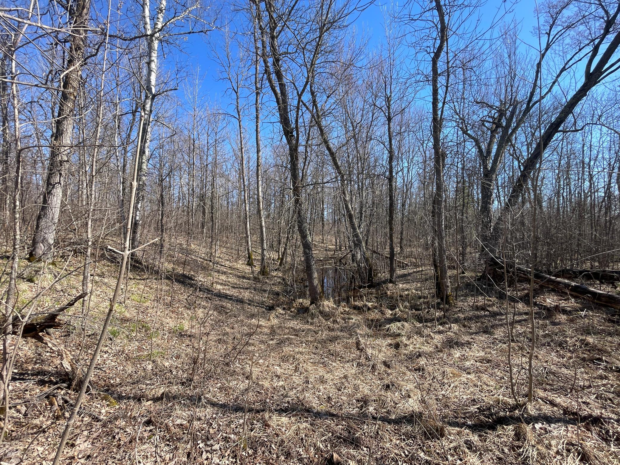 main property photo 56