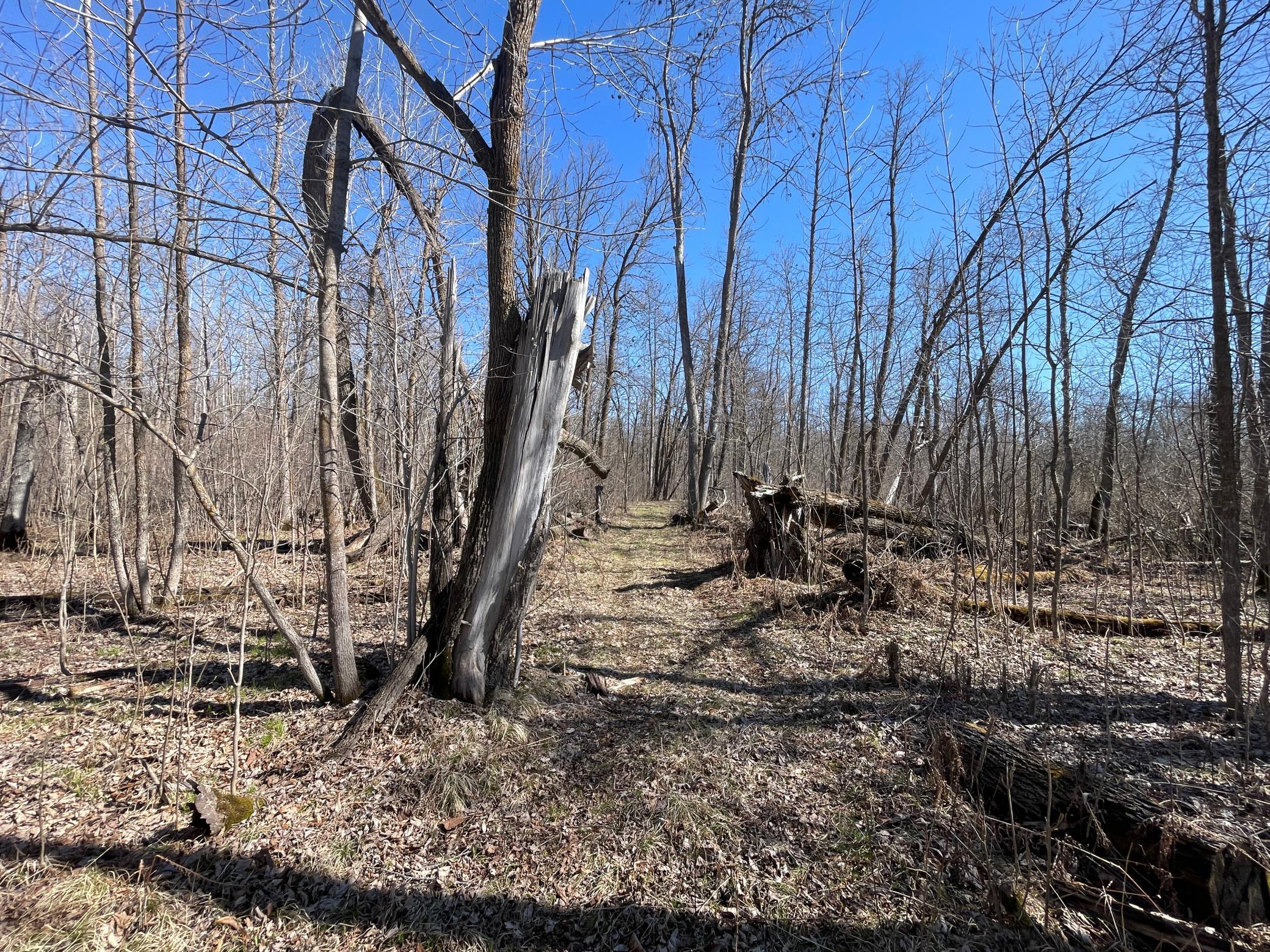 main property photo 57