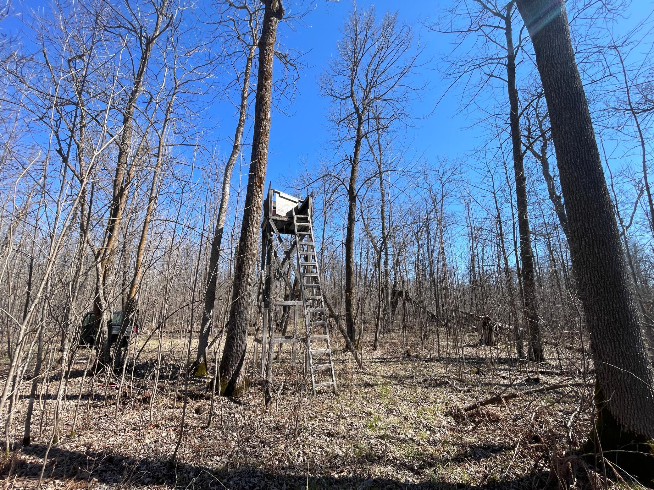 main property photo 59