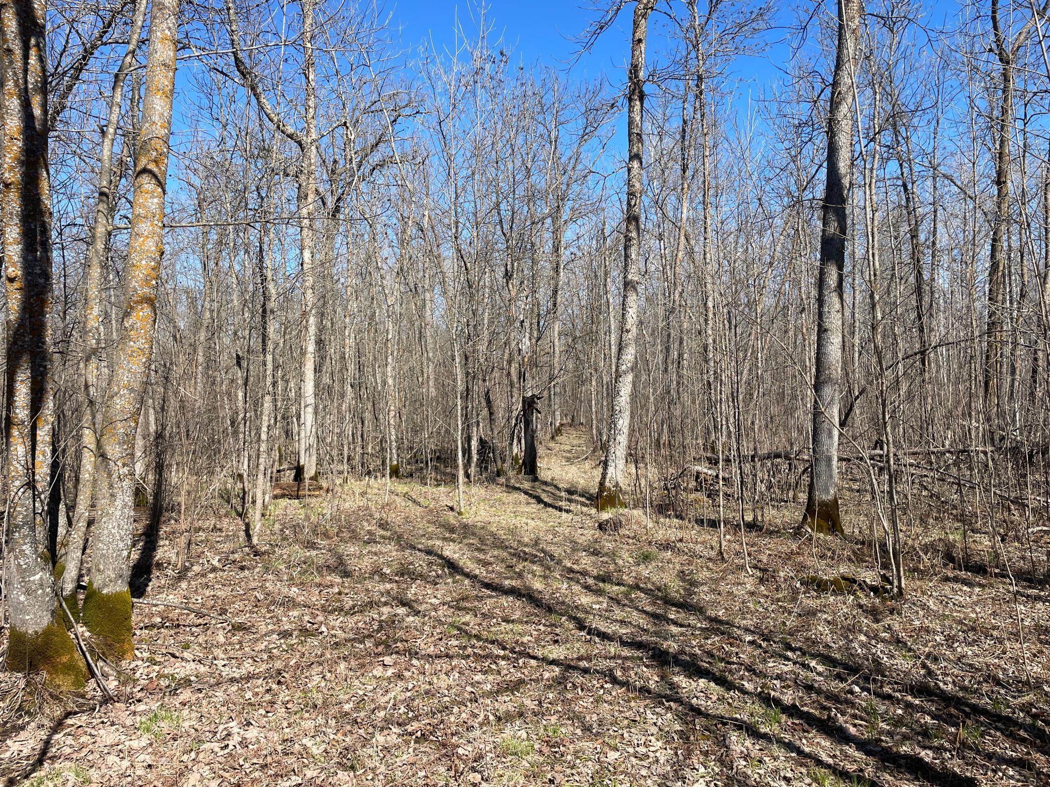 main property photo 60