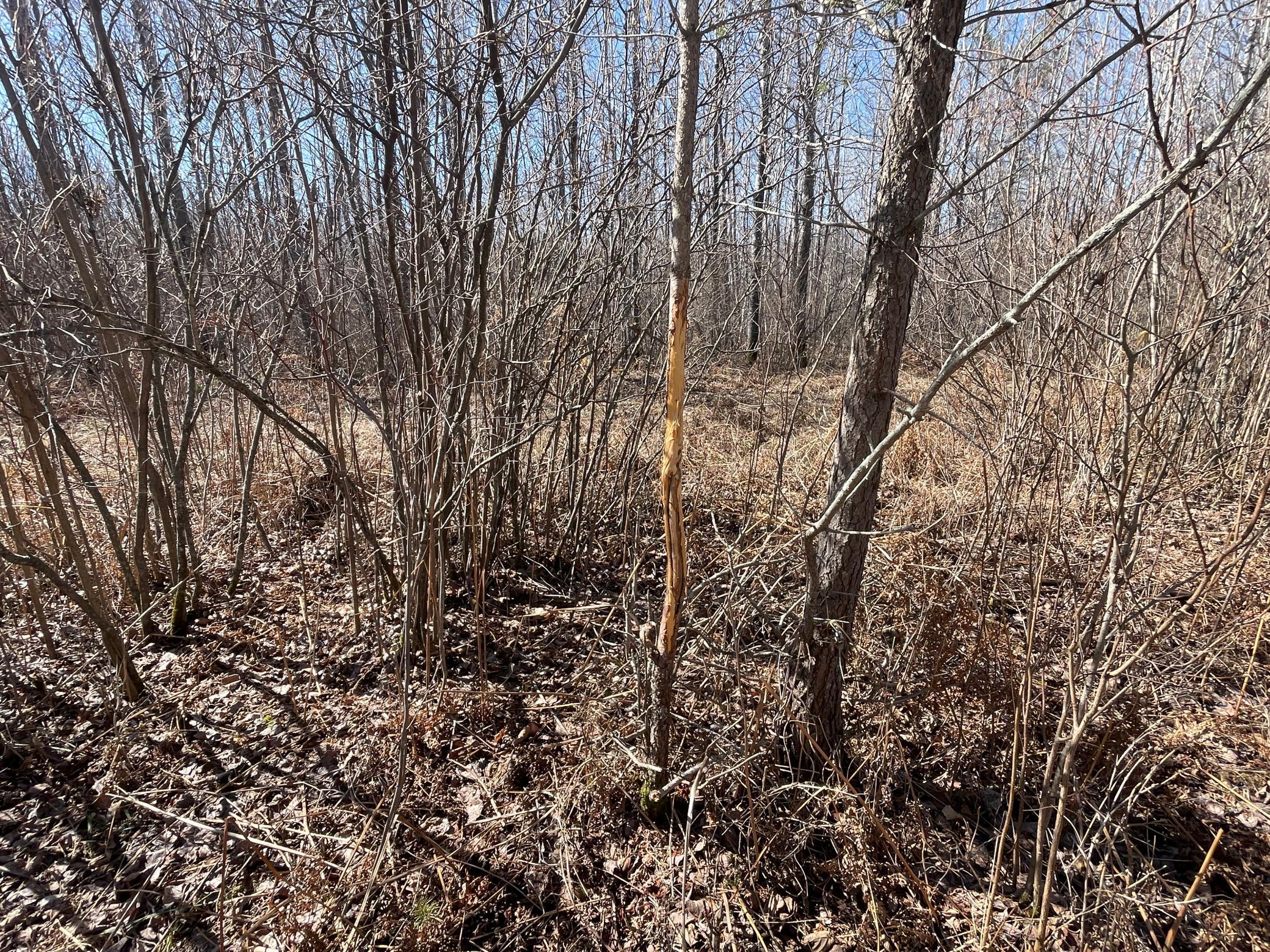main property photo 62