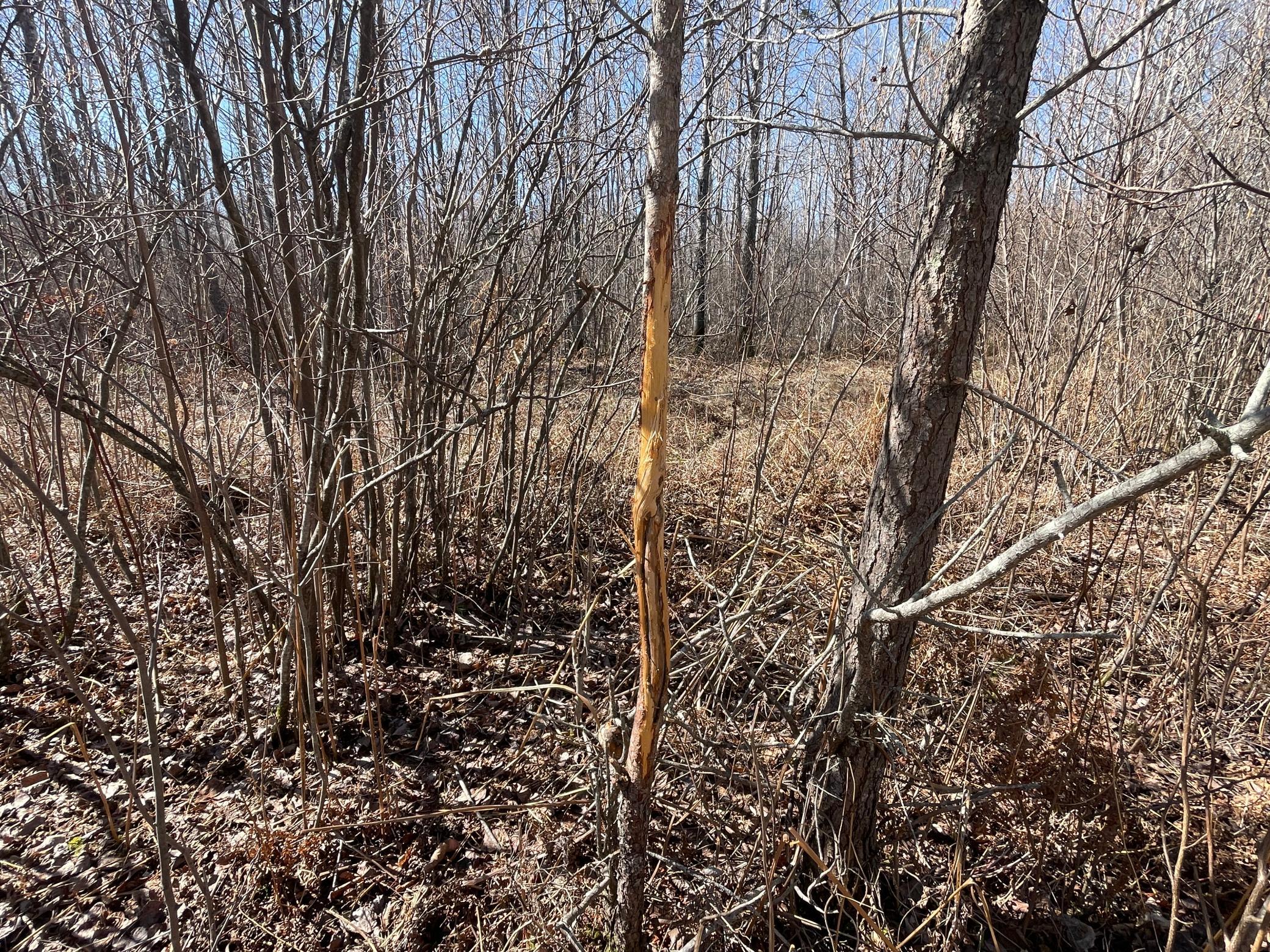 main property photo 63