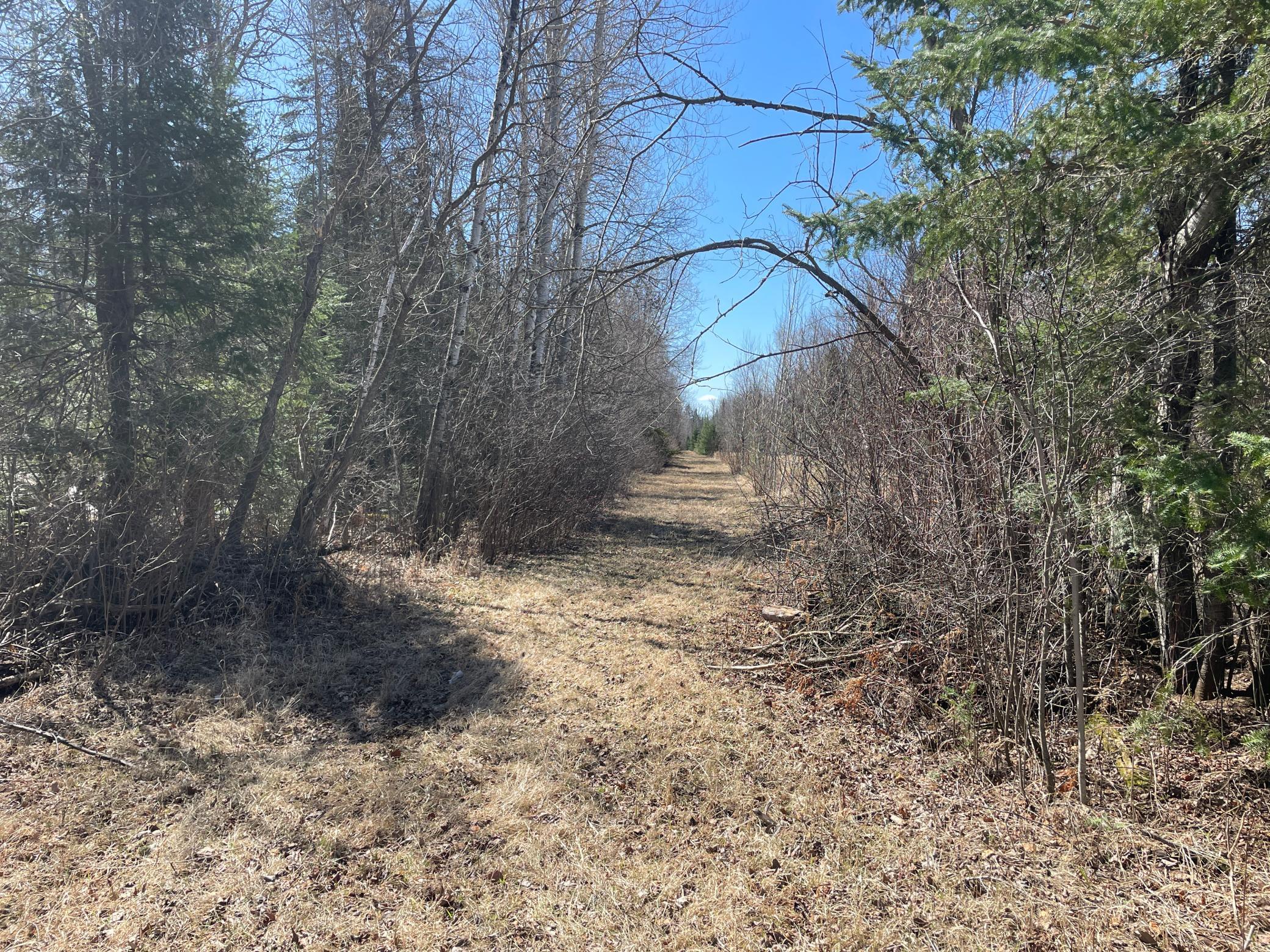 main property photo 68