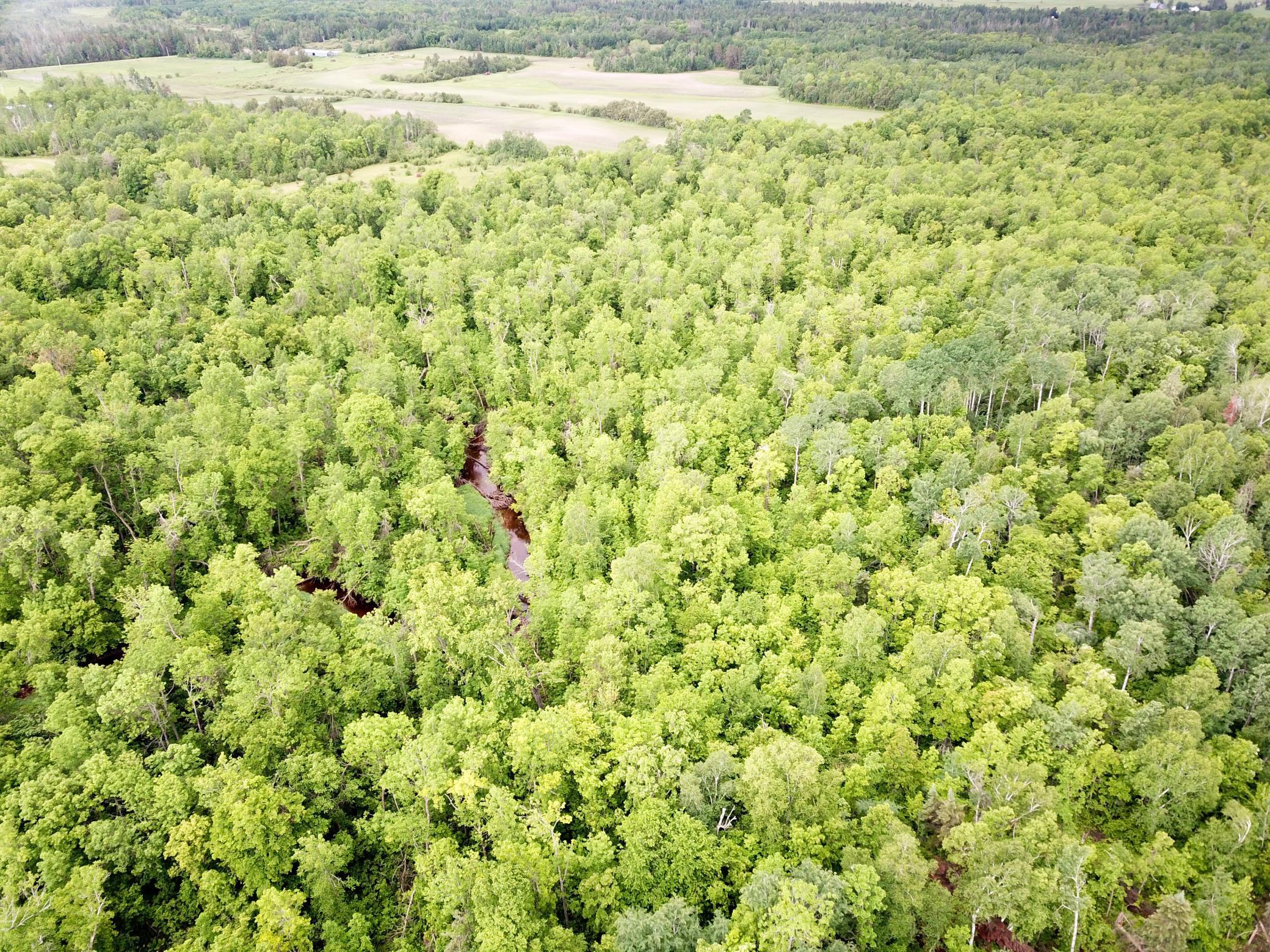 main property photo 81