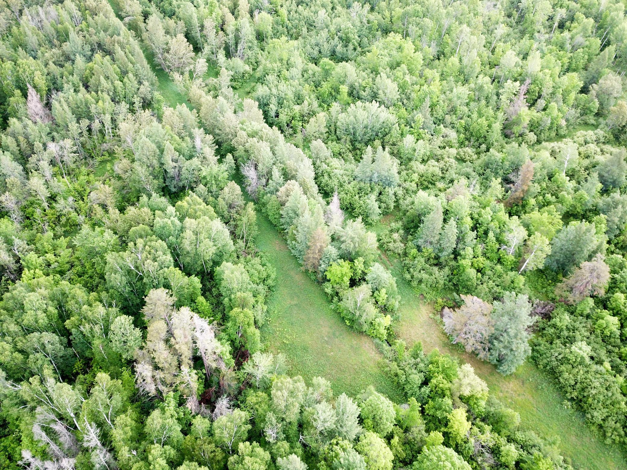 main property photo 84