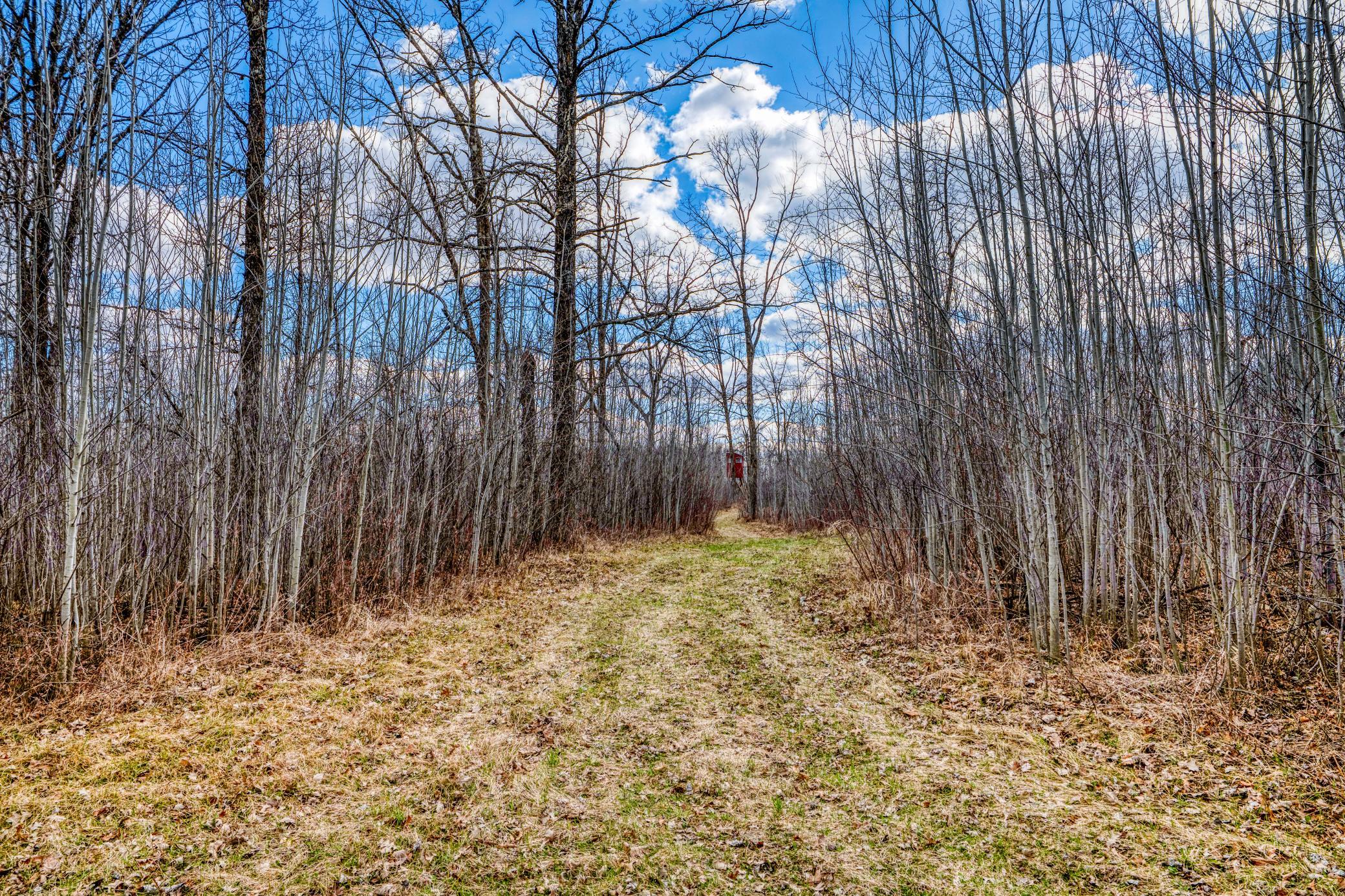 main property photo 57