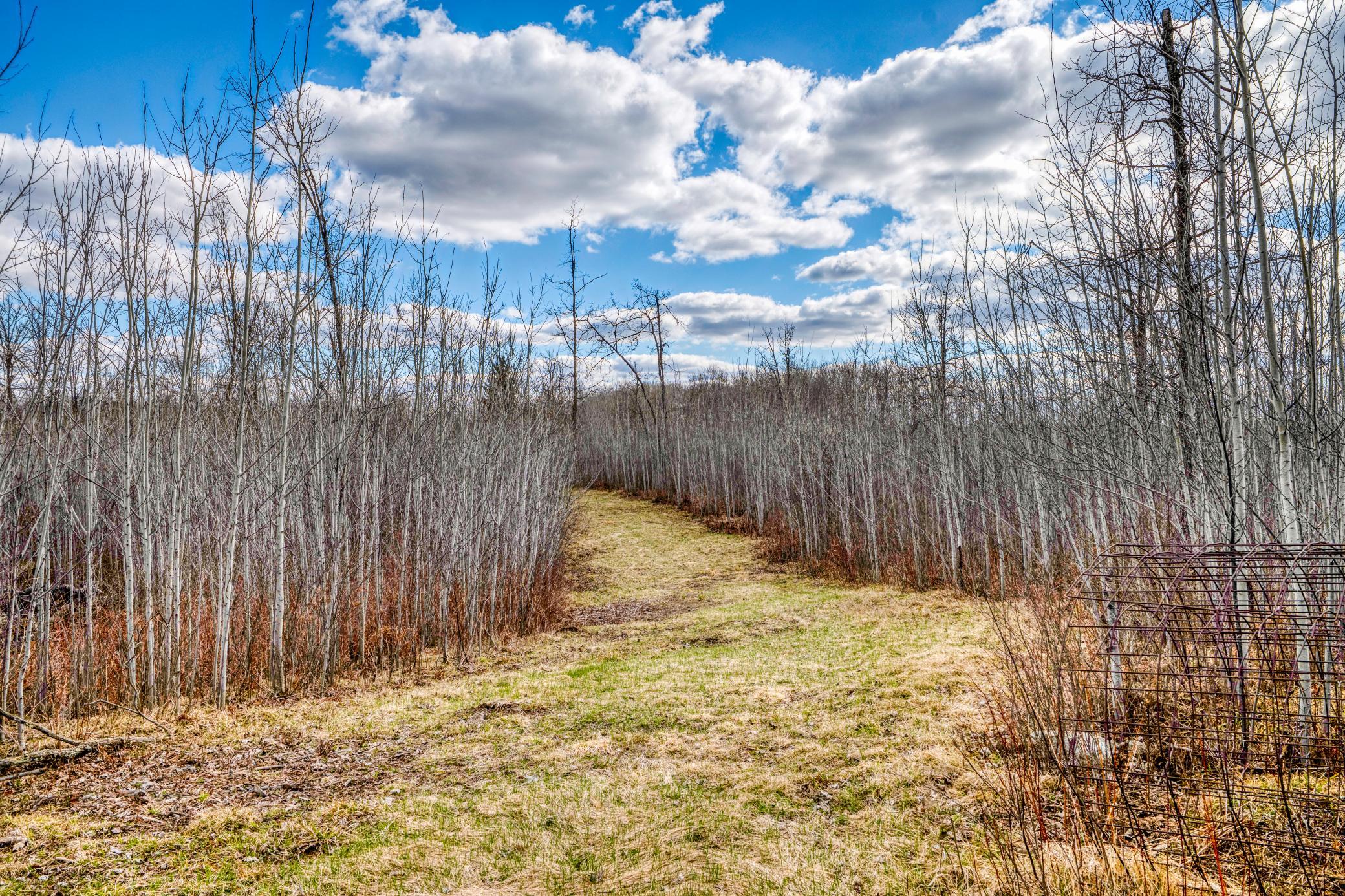 main property photo 59