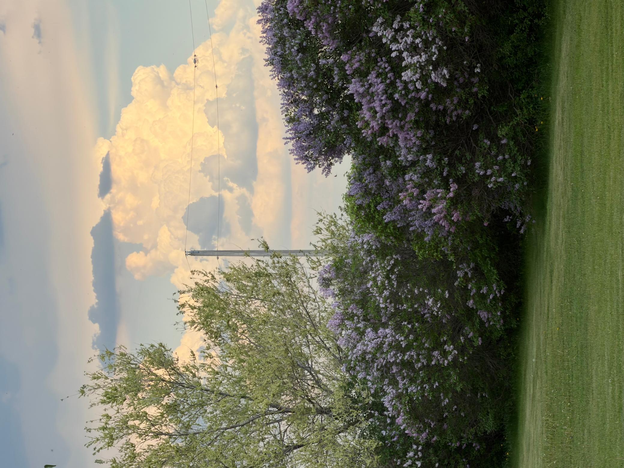 main property photo 68
