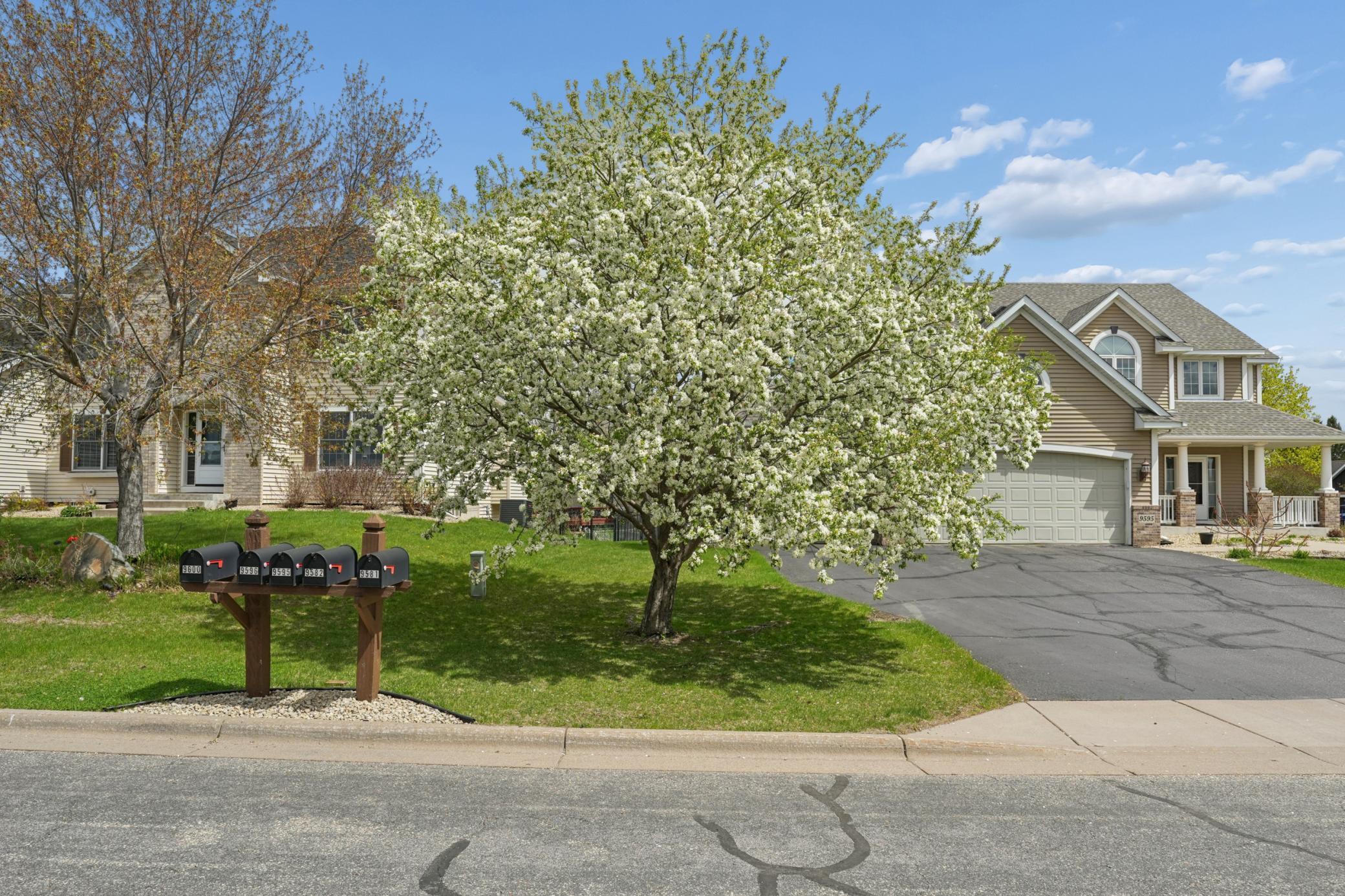 main property photo 59